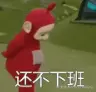 AliceQ于2024-09-10 08:44发布的图片