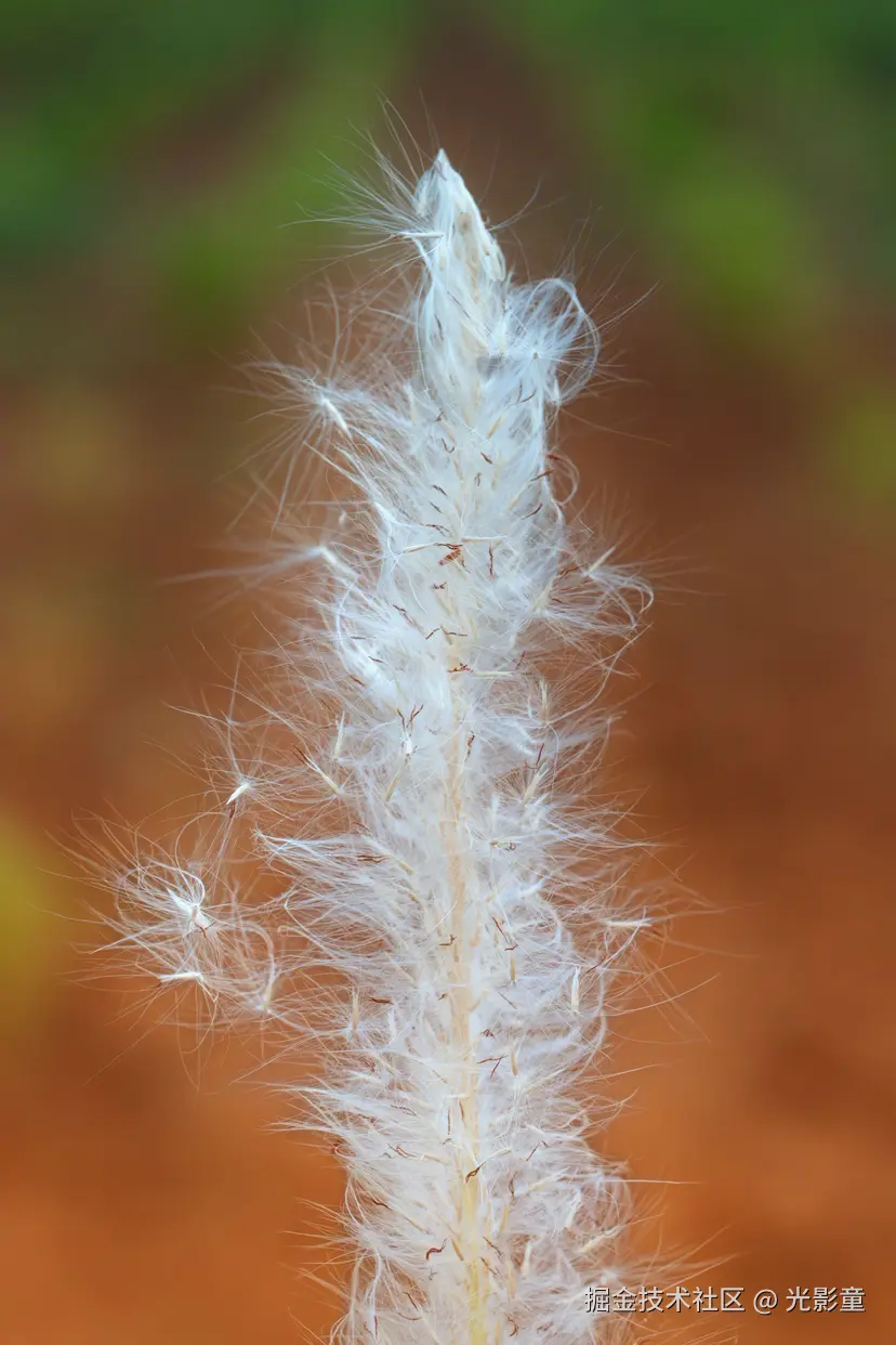 光影童于2025-07-29 10:11发布的图片