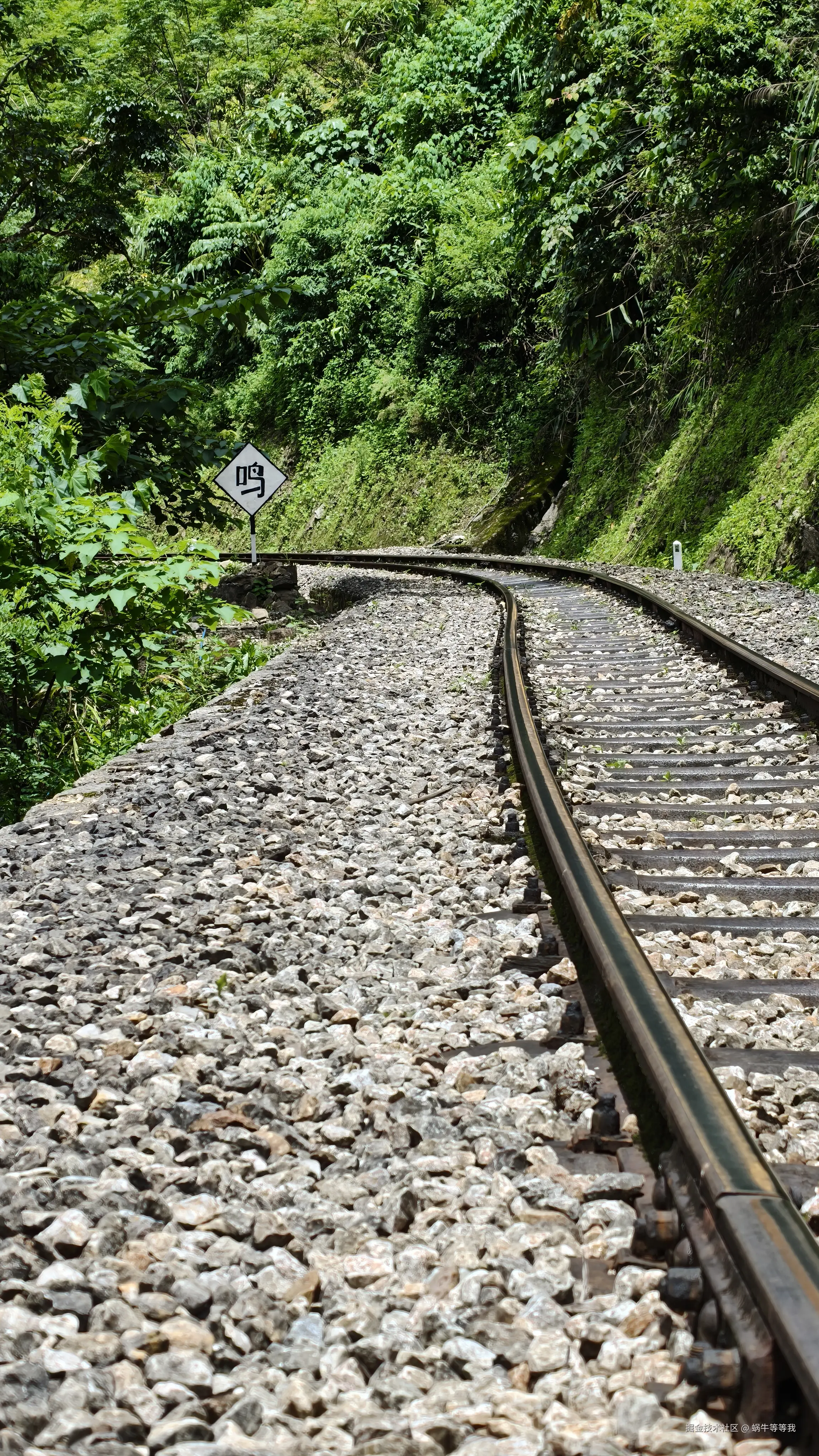 蜗牛等等我于2025-08-11 10:05发布的图片