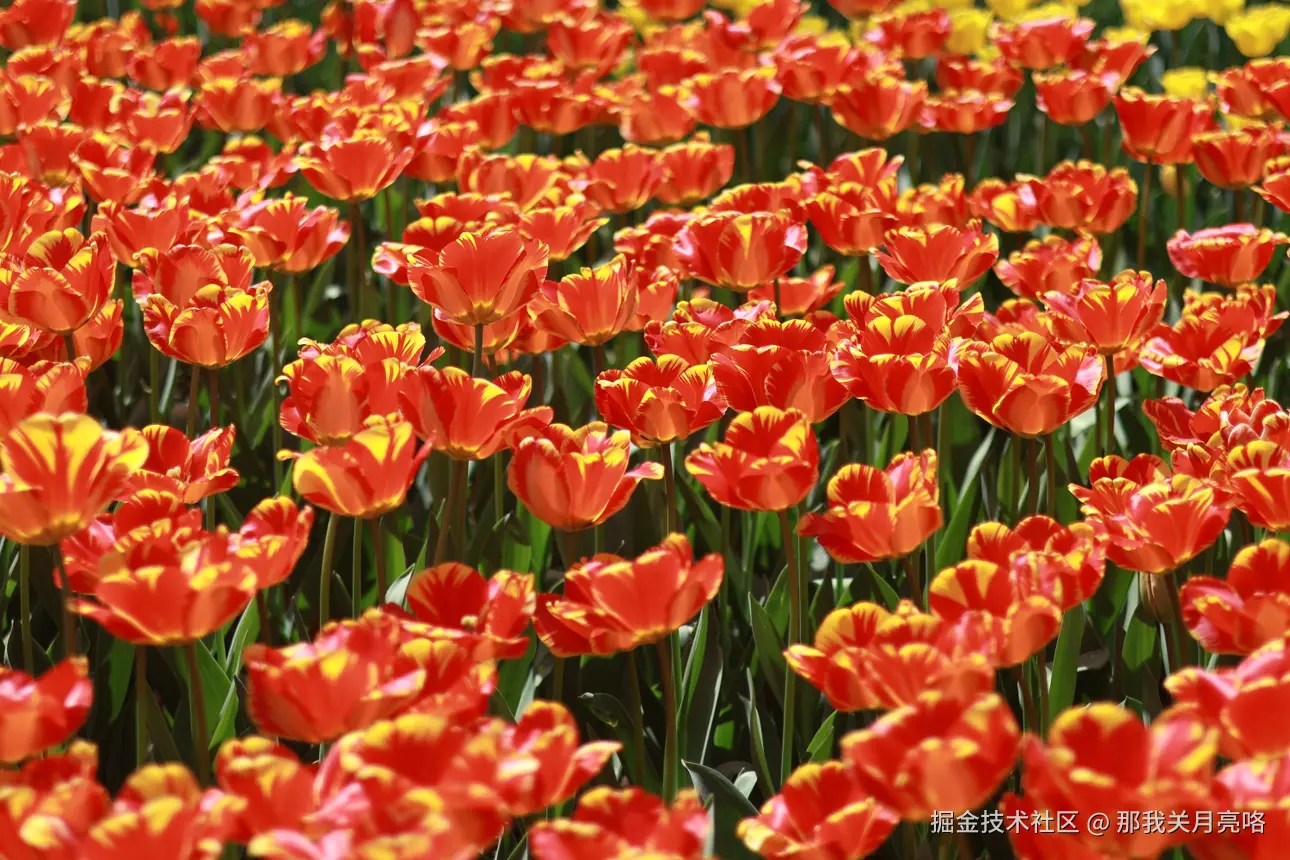 那我关月亮咯于2025-03-24 09:35发布的图片