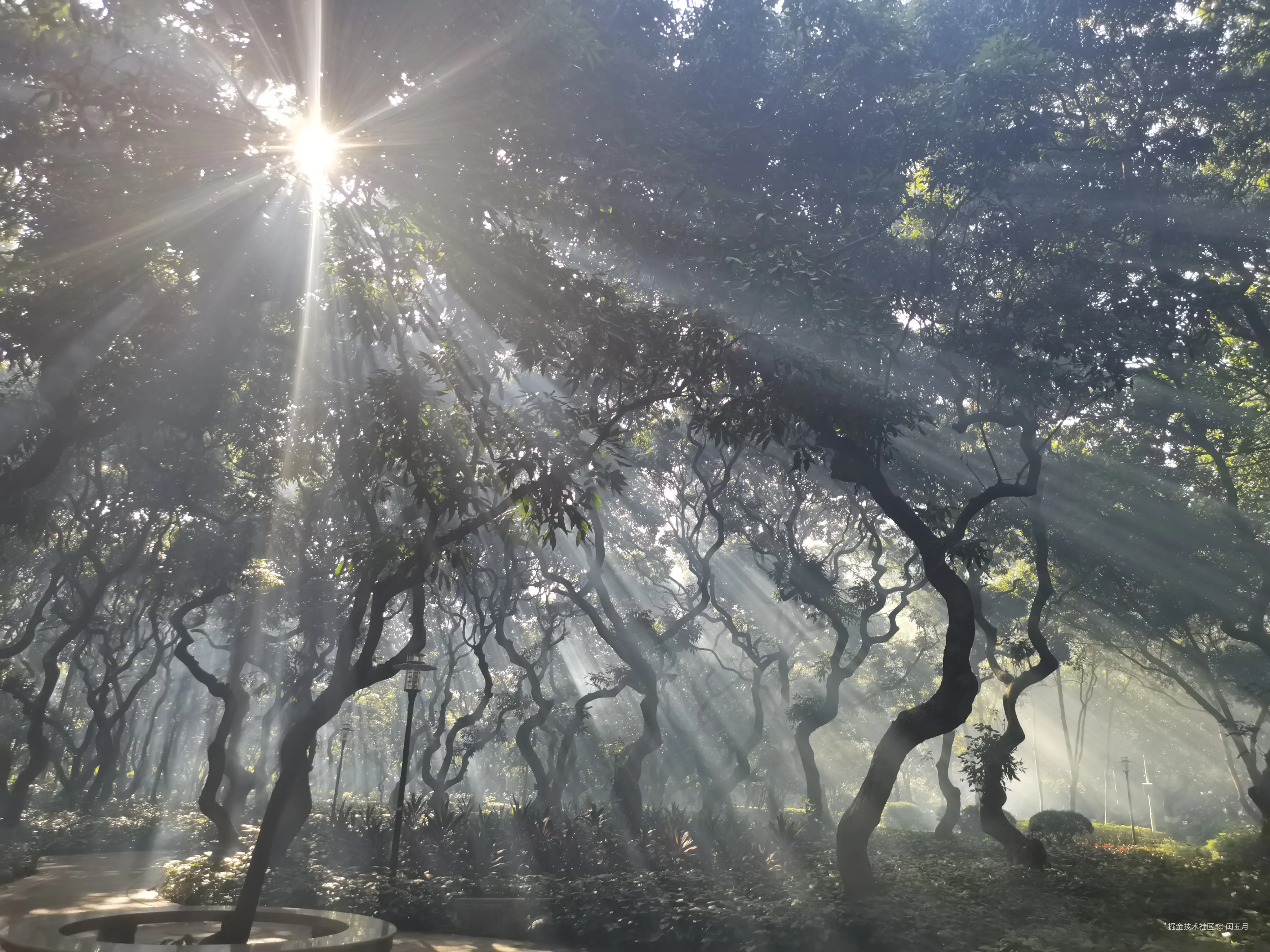 闰五月于2025-09-18 09:30发布的图片