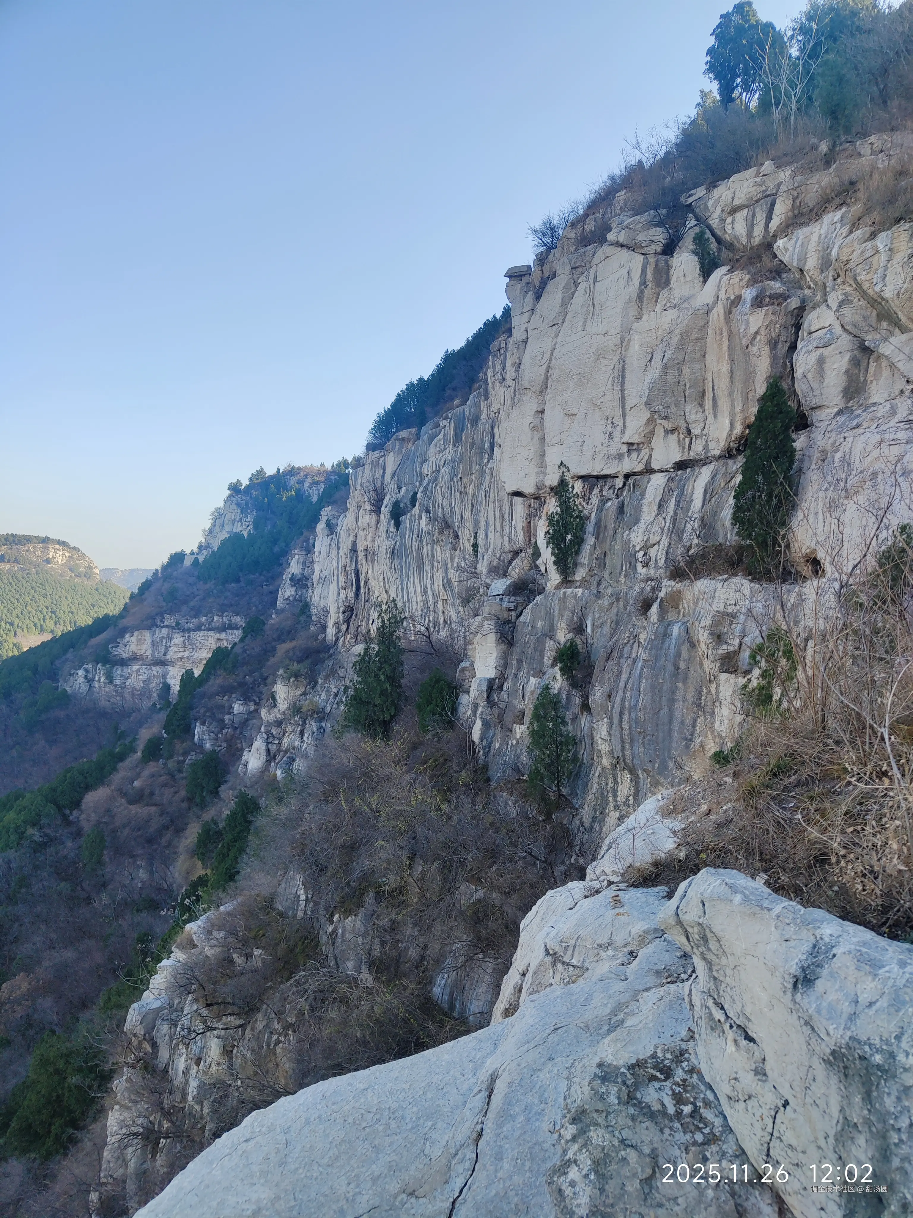 甜汤圆于2025-11-26 13:26发布的图片