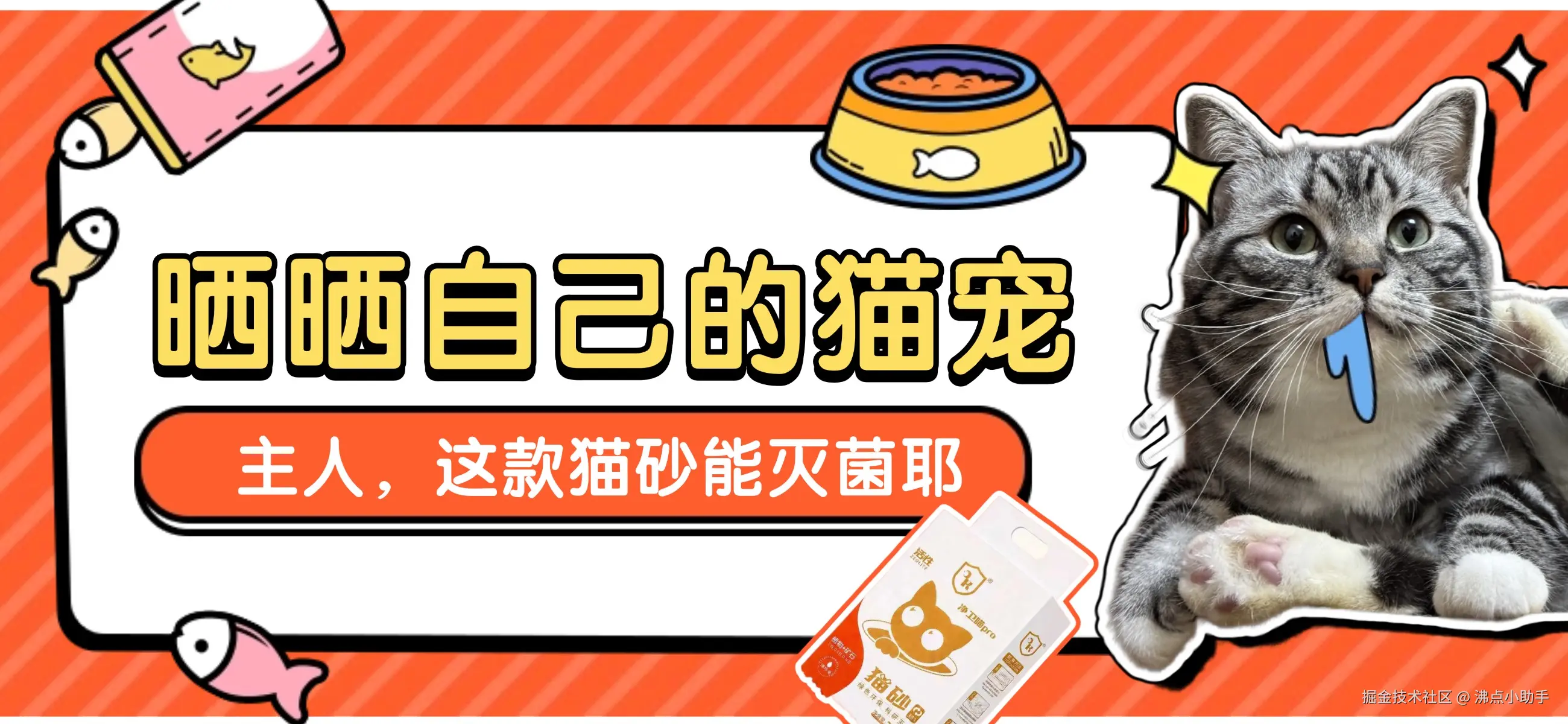 沸点小助手于2026-08-17 02:20发布的图片