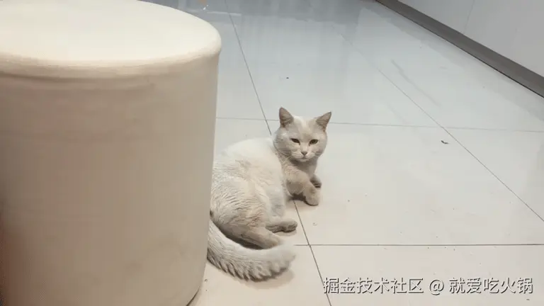 就爱吃火锅于2026-03-01 16:49发布的图片