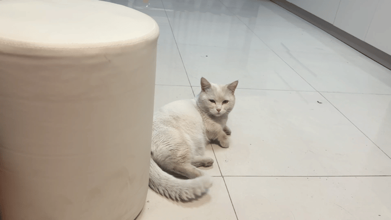 就爱吃火锅于2026-03-01 16:49发布的图片