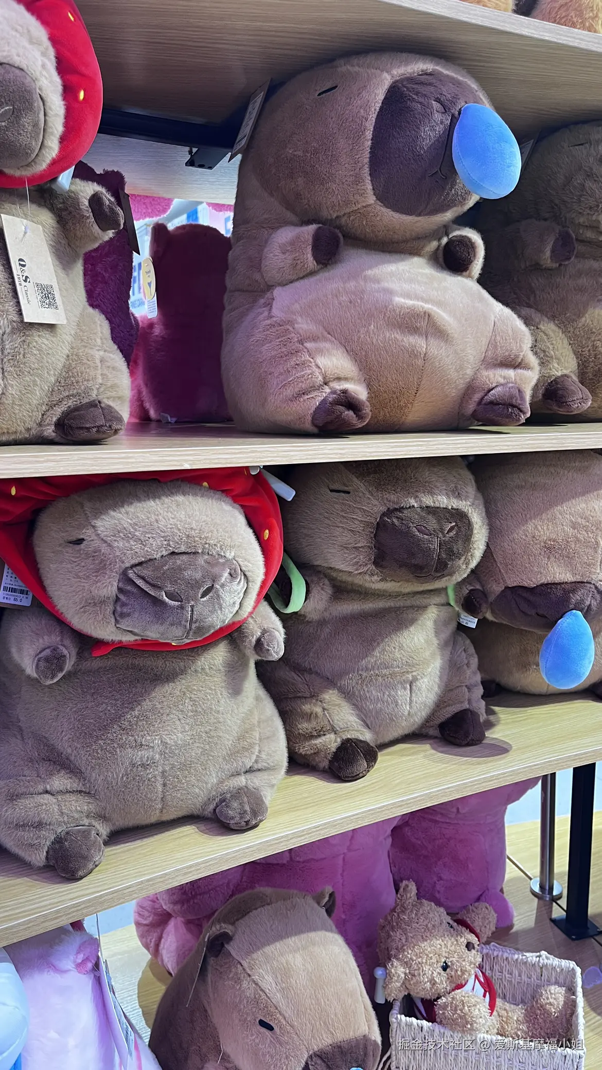 爱斯基摩福小姐于2024-10-06 15:47发布的图片