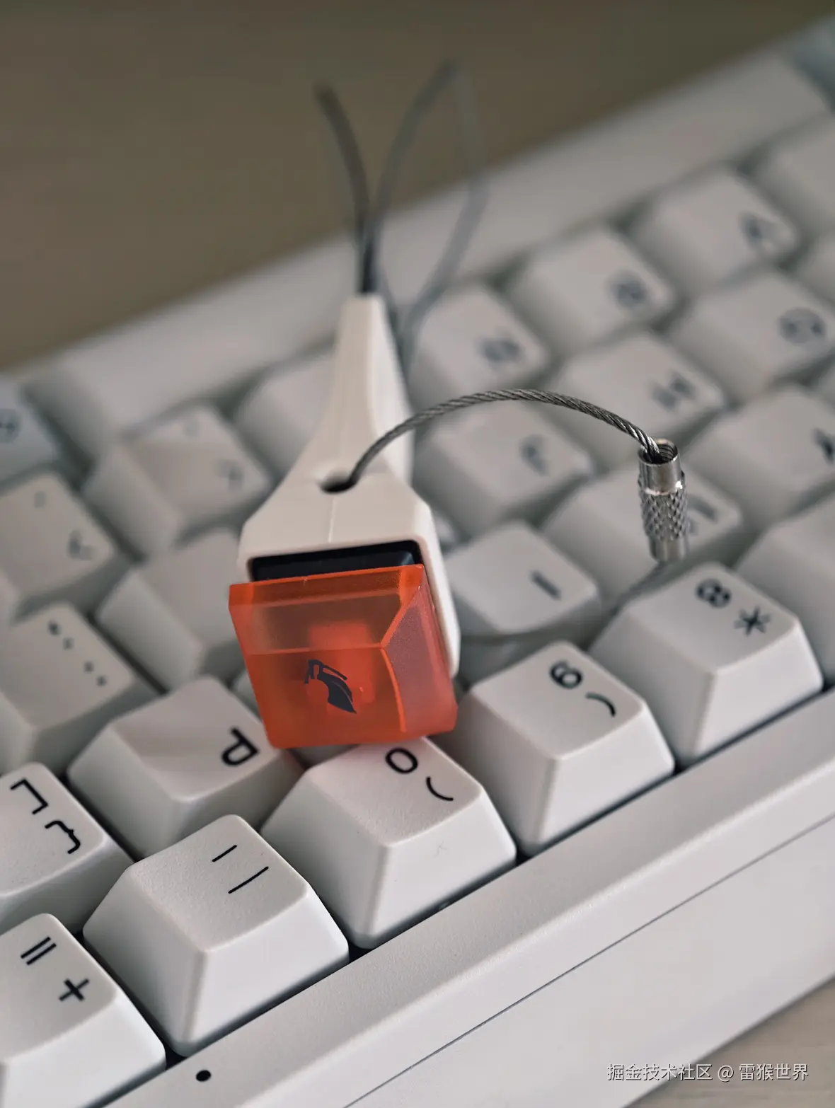 雷猴世界于2025-07-25 15:17发布的图片