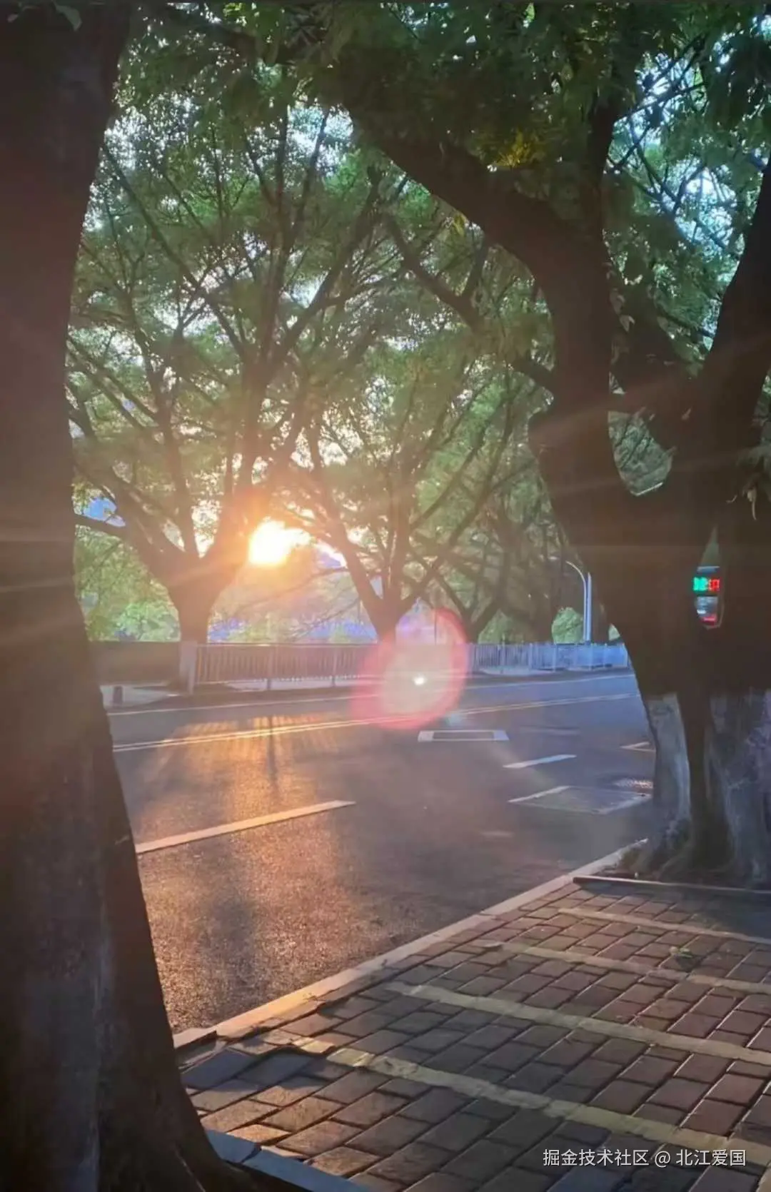 北江爱国于2025-08-20 02:53发布的图片