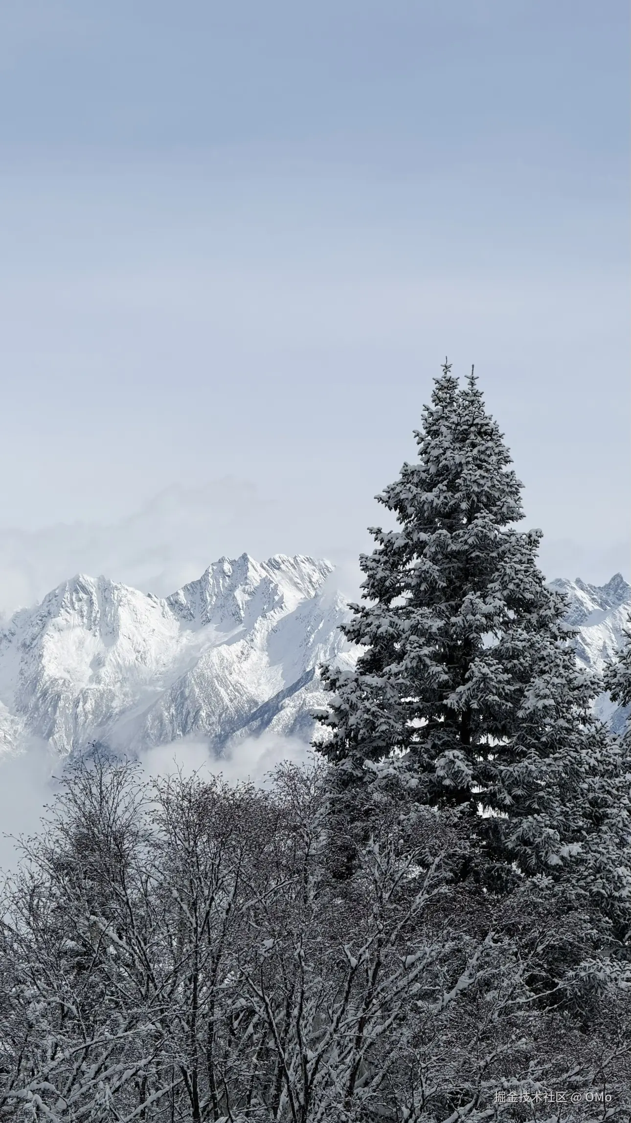 OMo于2026-01-28 16:39发布的图片