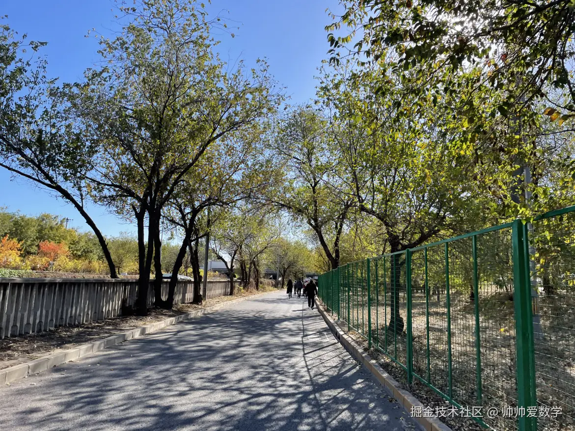 帅帅爱数学于2024-11-17 12:41发布的图片