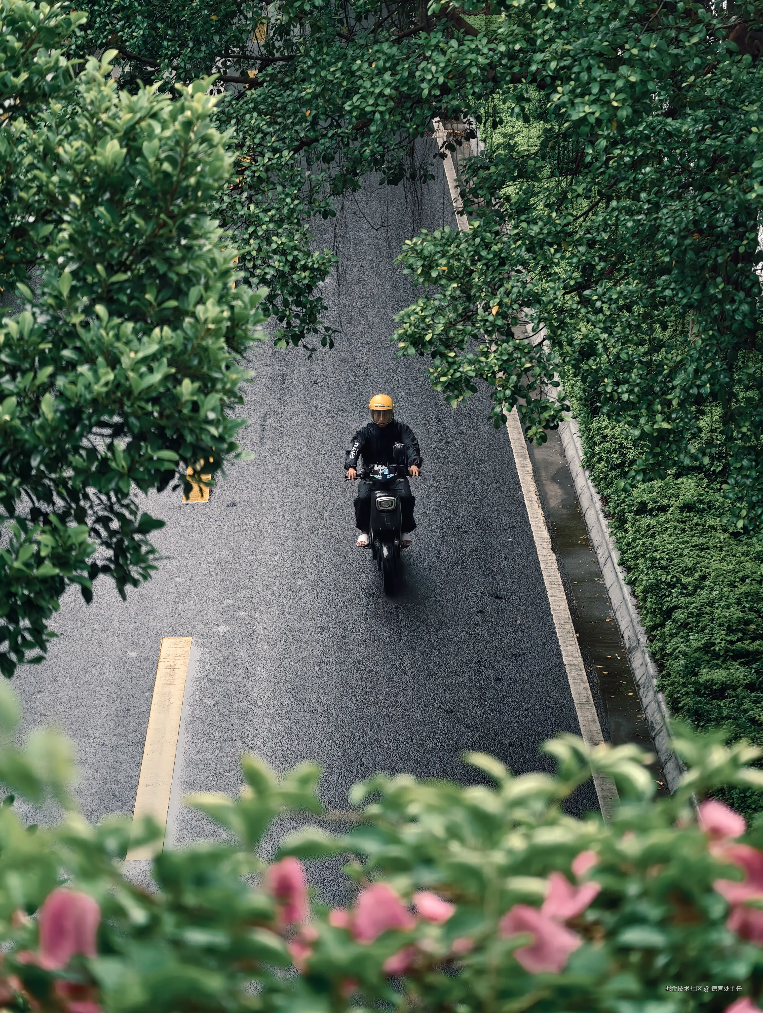 德育处主任于2025-05-20 17:33发布的图片