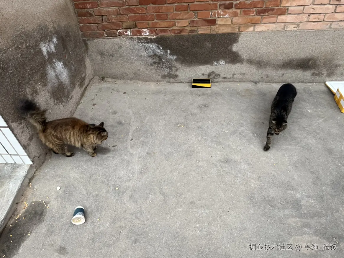 单纯_稀饭于2025-11-05 08:44发布的图片