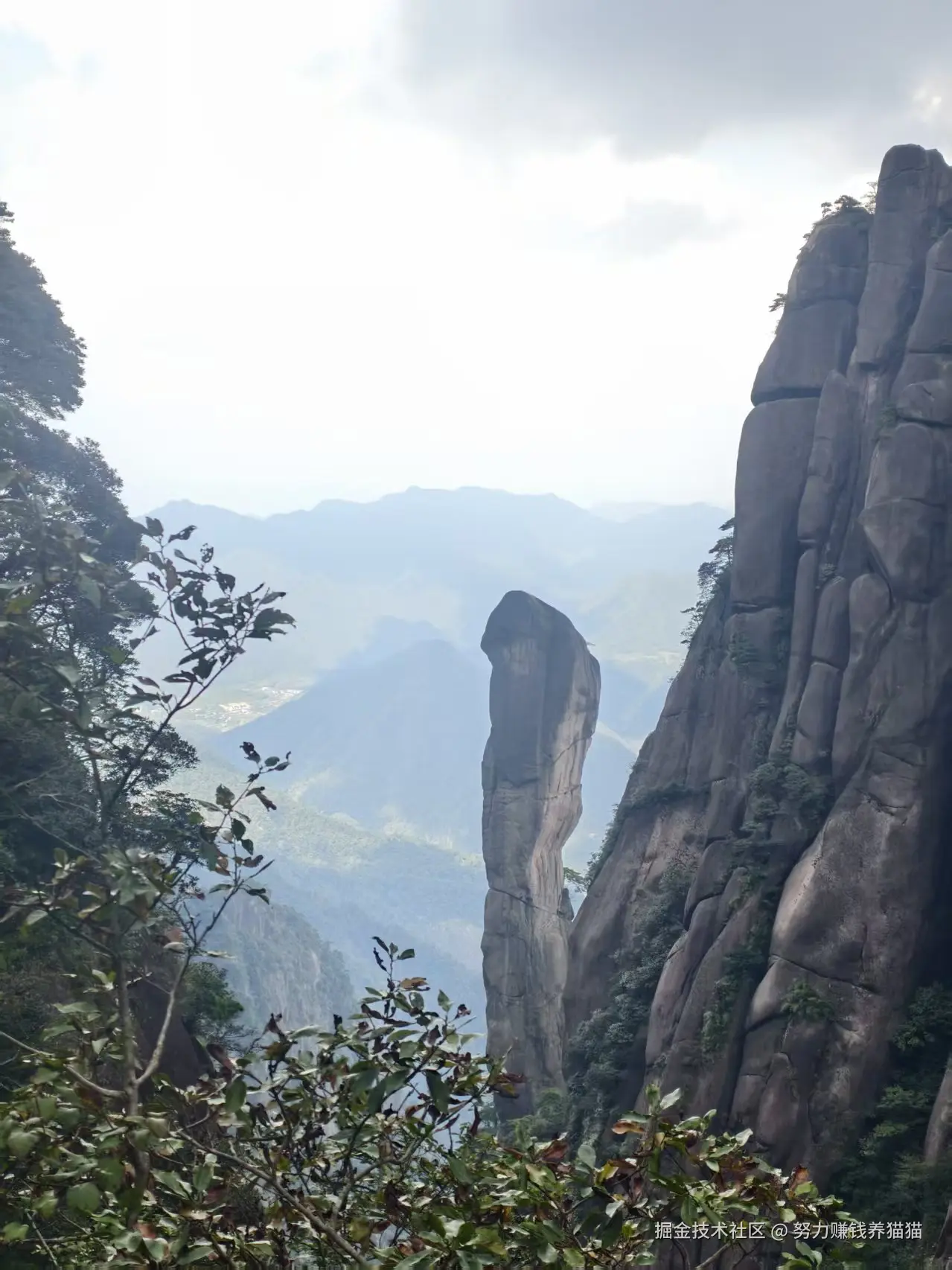 努力赚钱养猫猫于2025-10-23 11:17发布的图片