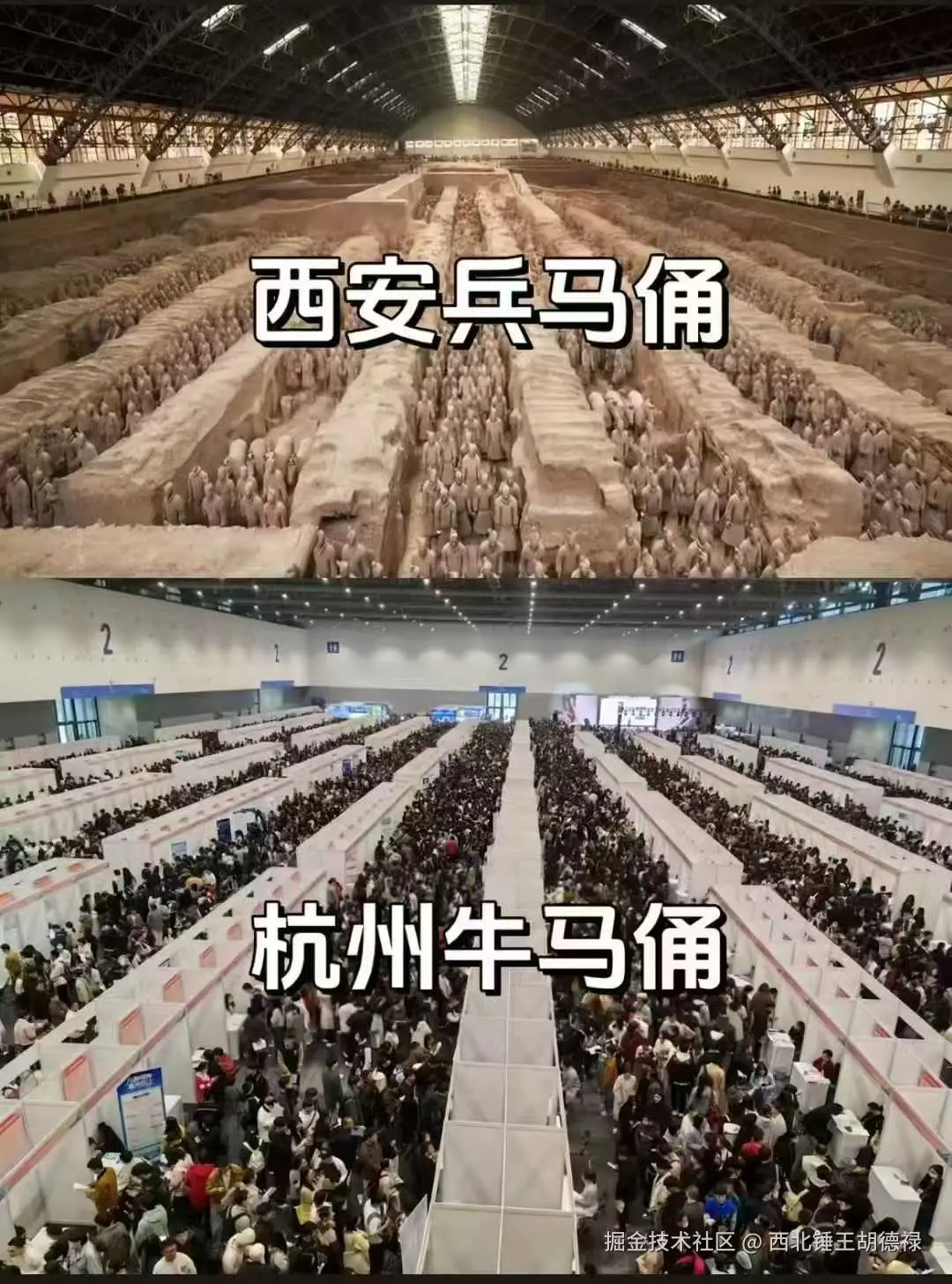 西北锤王胡德禄于2025-03-03 10:43发布的图片