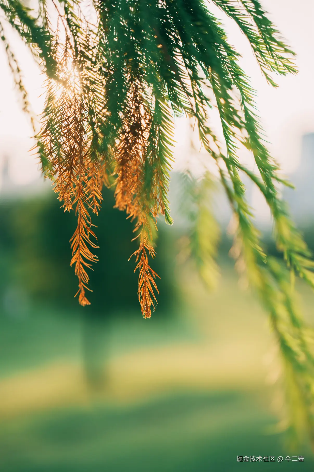 仐二壹于2025-08-04 16:32发布的图片