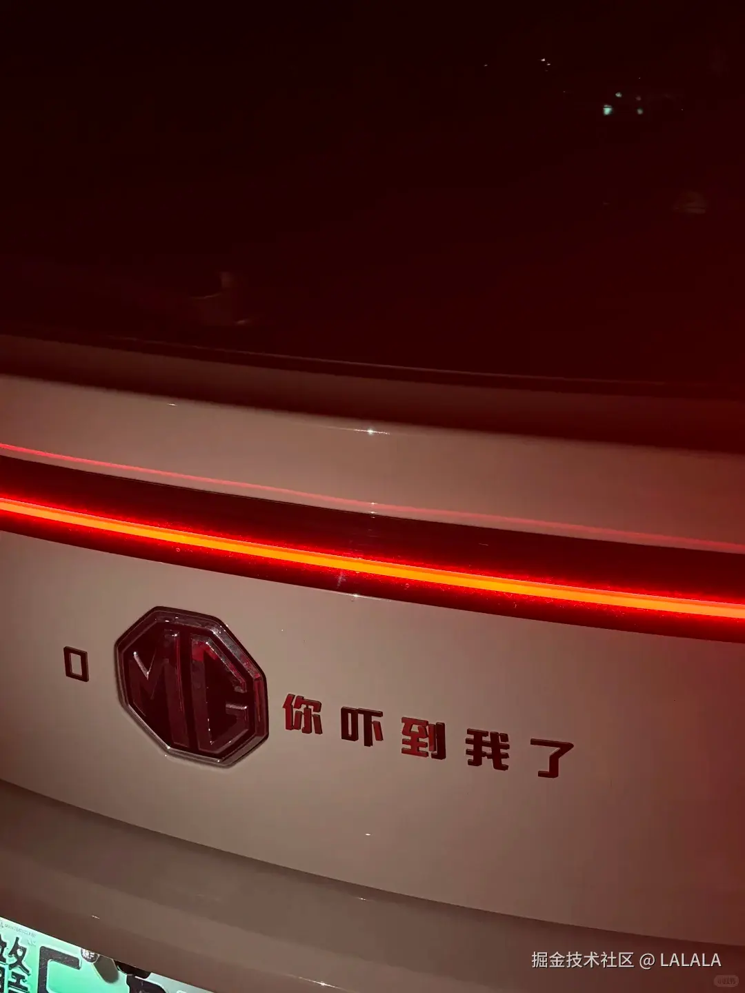LALALA于2026-08-02 07:17发布的图片