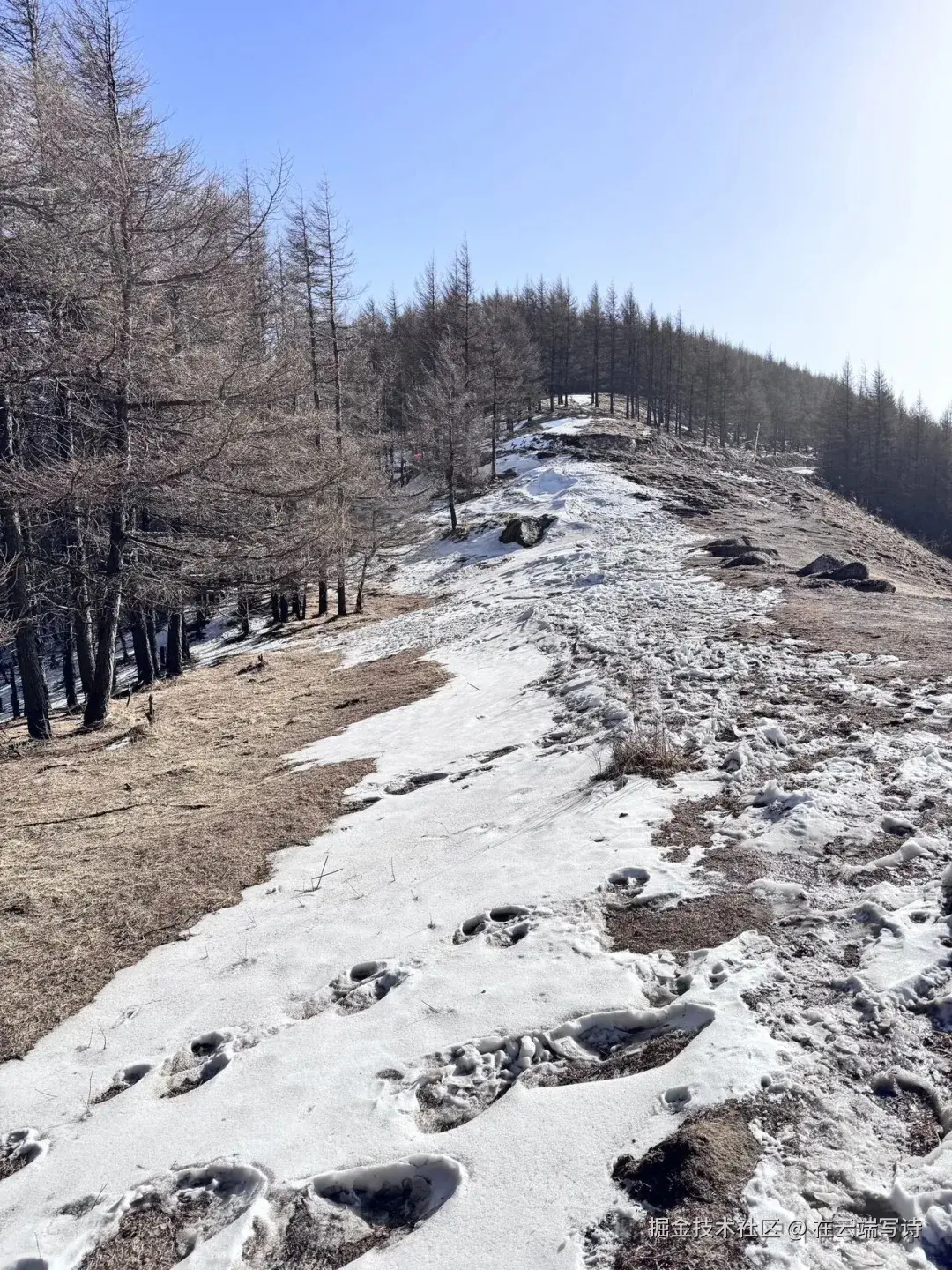 在云端写诗于2025-12-01 11:16发布的图片