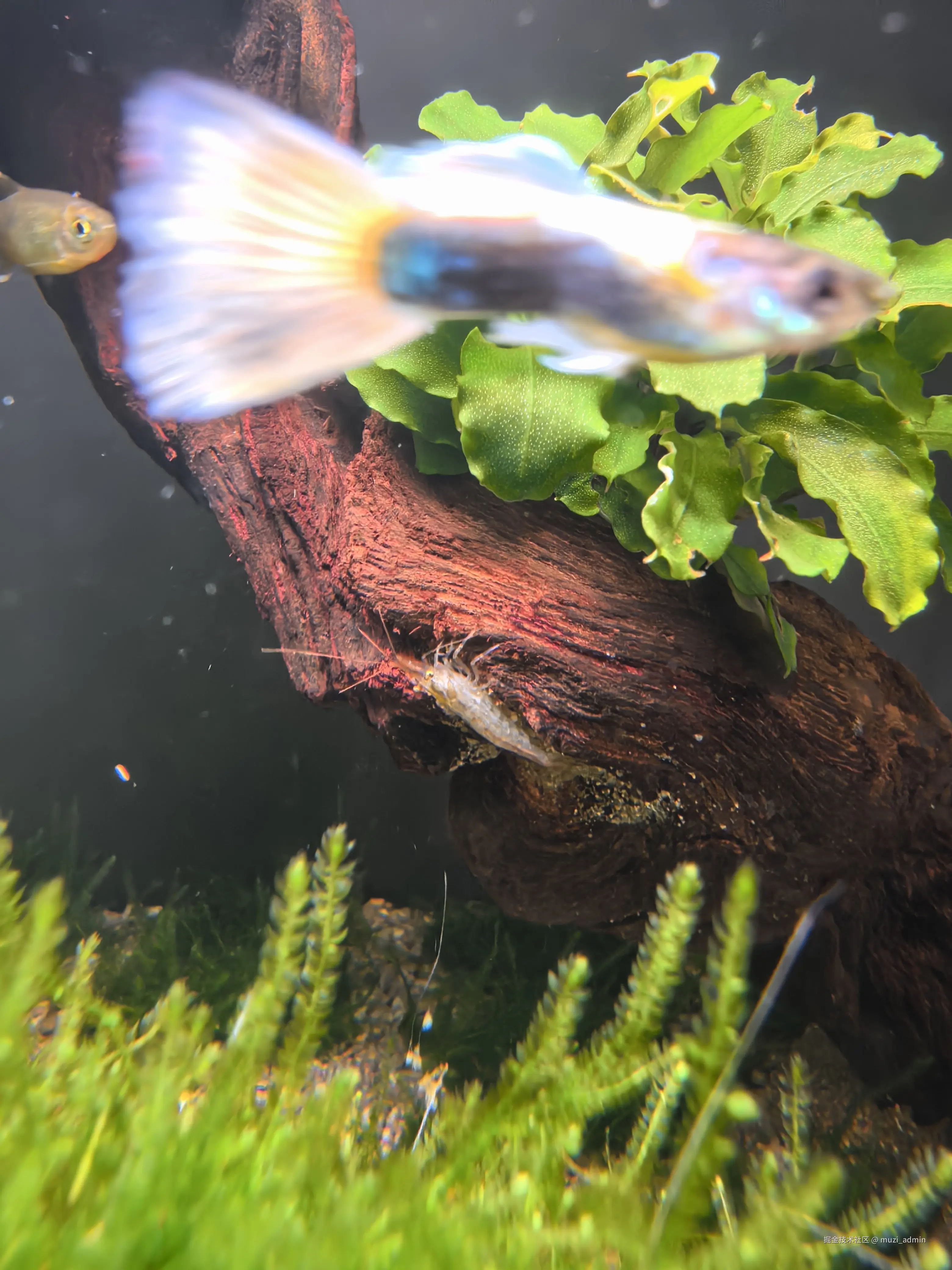 muzi_admin于2026-04-18 15:15发布的图片