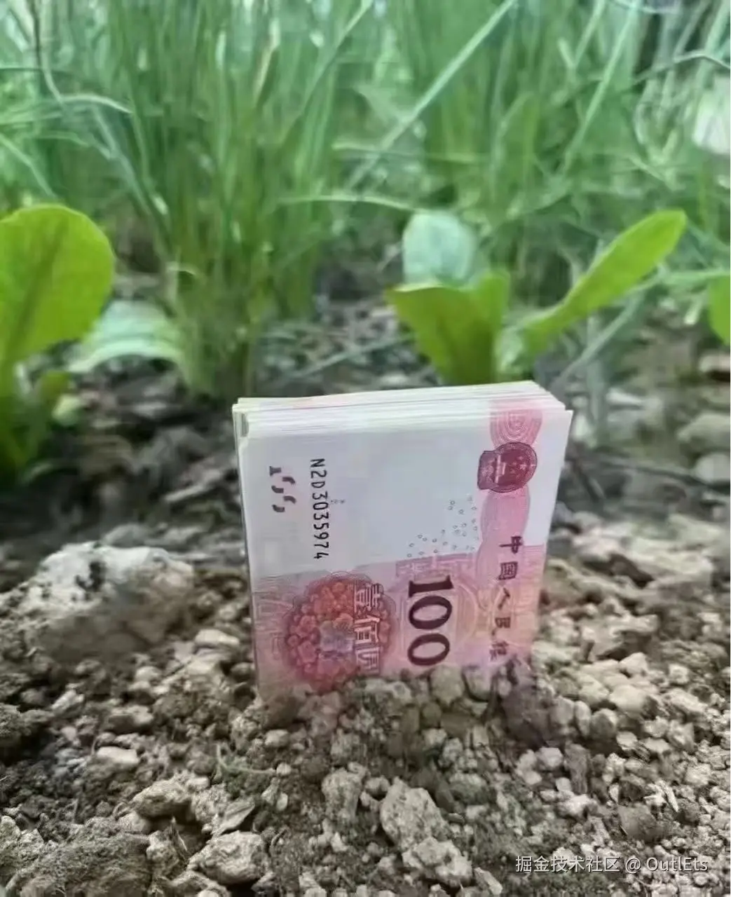 OutlEts于2026-03-12 23:12发布的图片