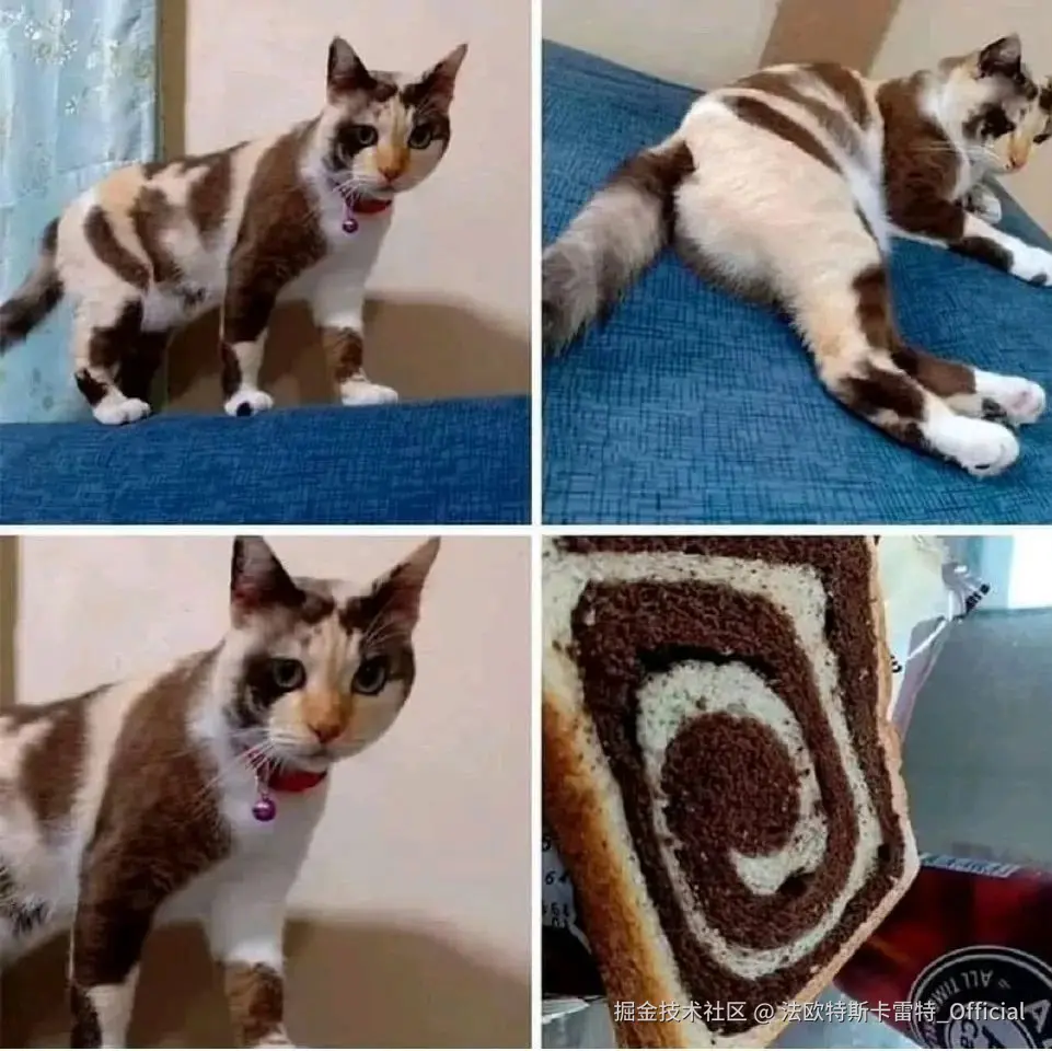 法欧特斯卡雷特_Official于2025-08-12 13:40发布的图片