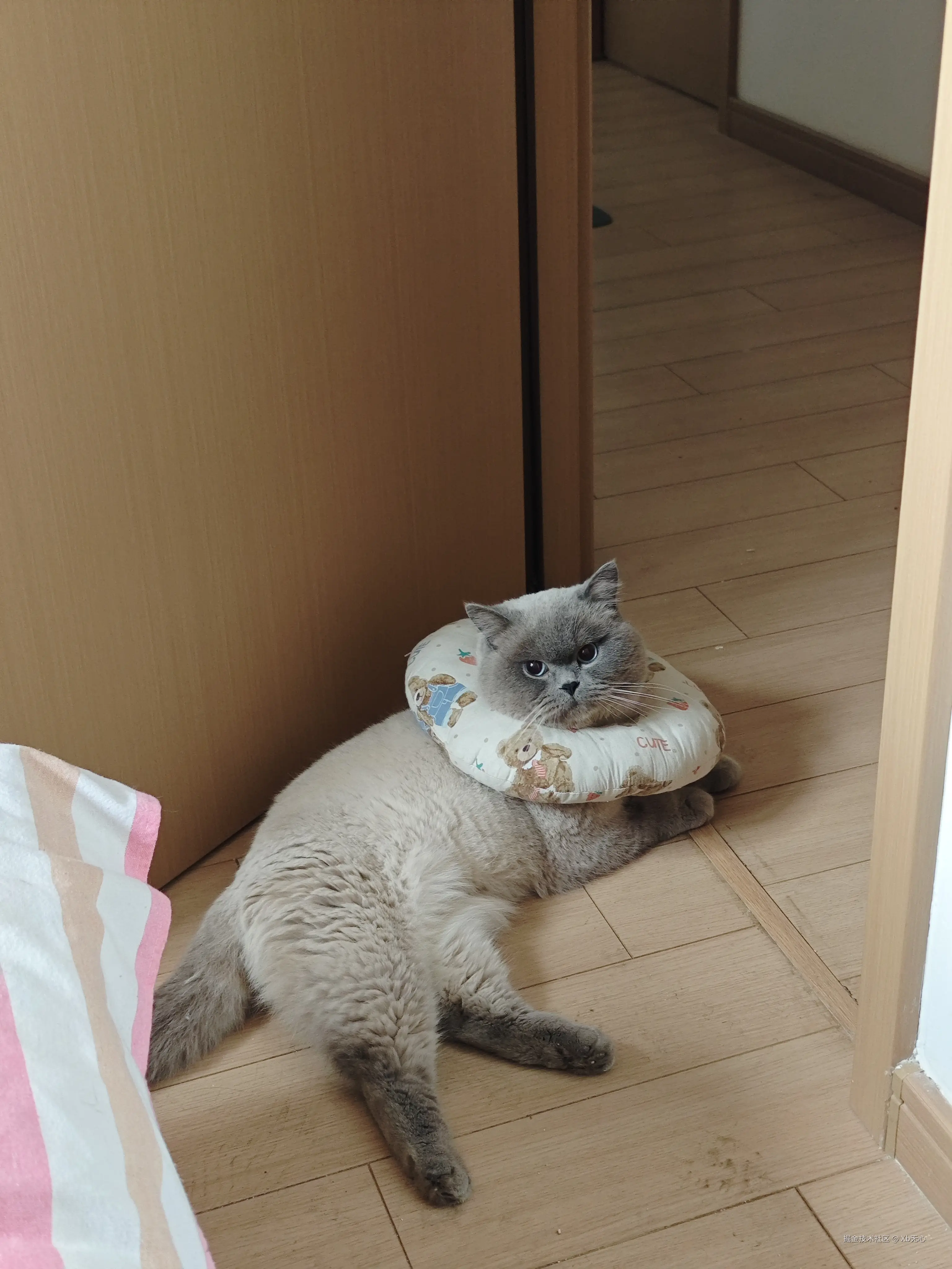 Xb无心于2025-04-03 09:32发布的图片