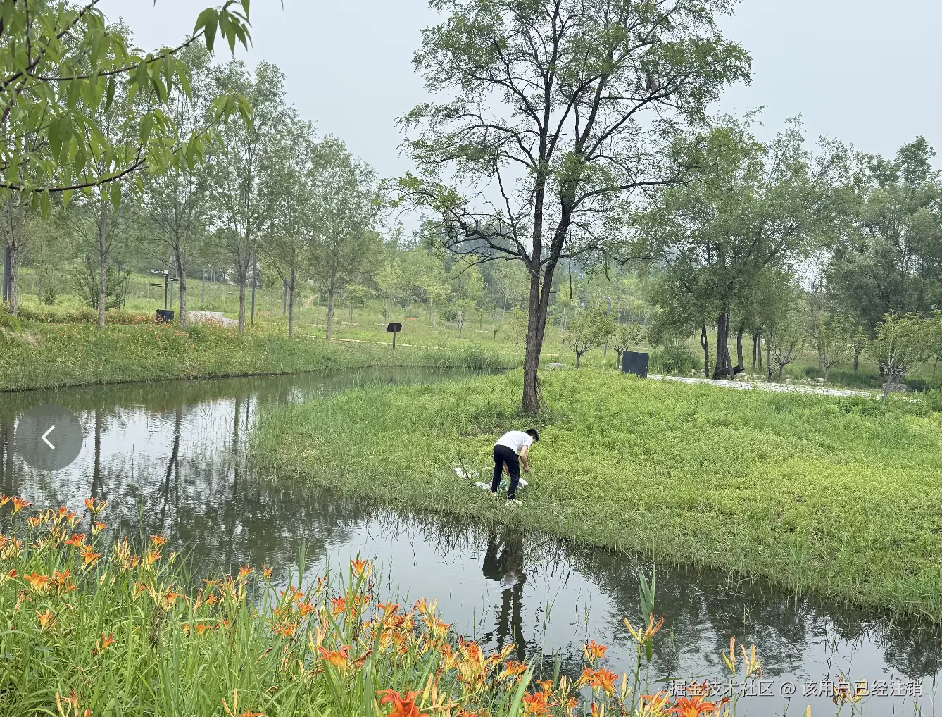该用户已经注销于2025-06-30 10:28发布的图片