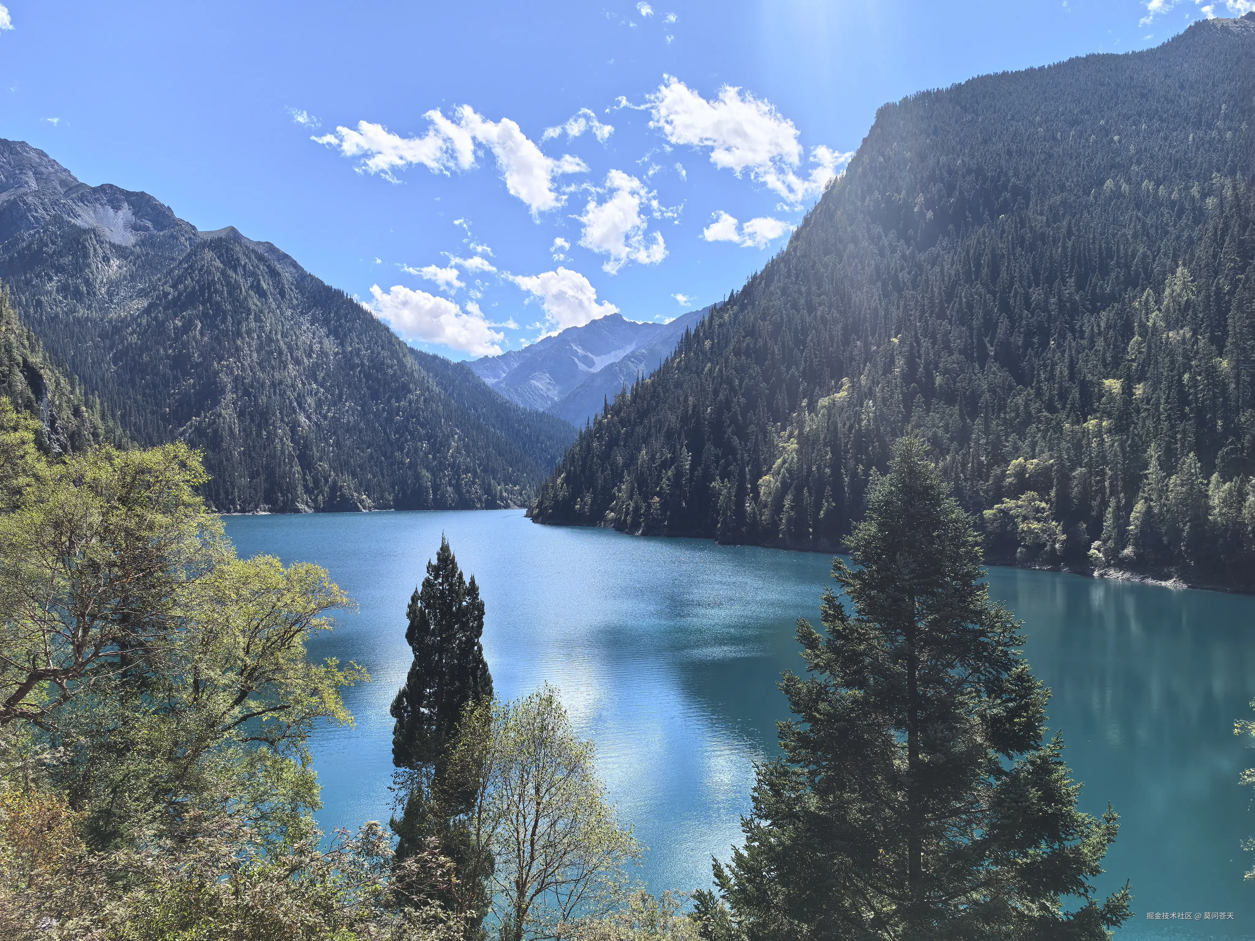 莫问苍天于2025-10-09 10:54发布的图片