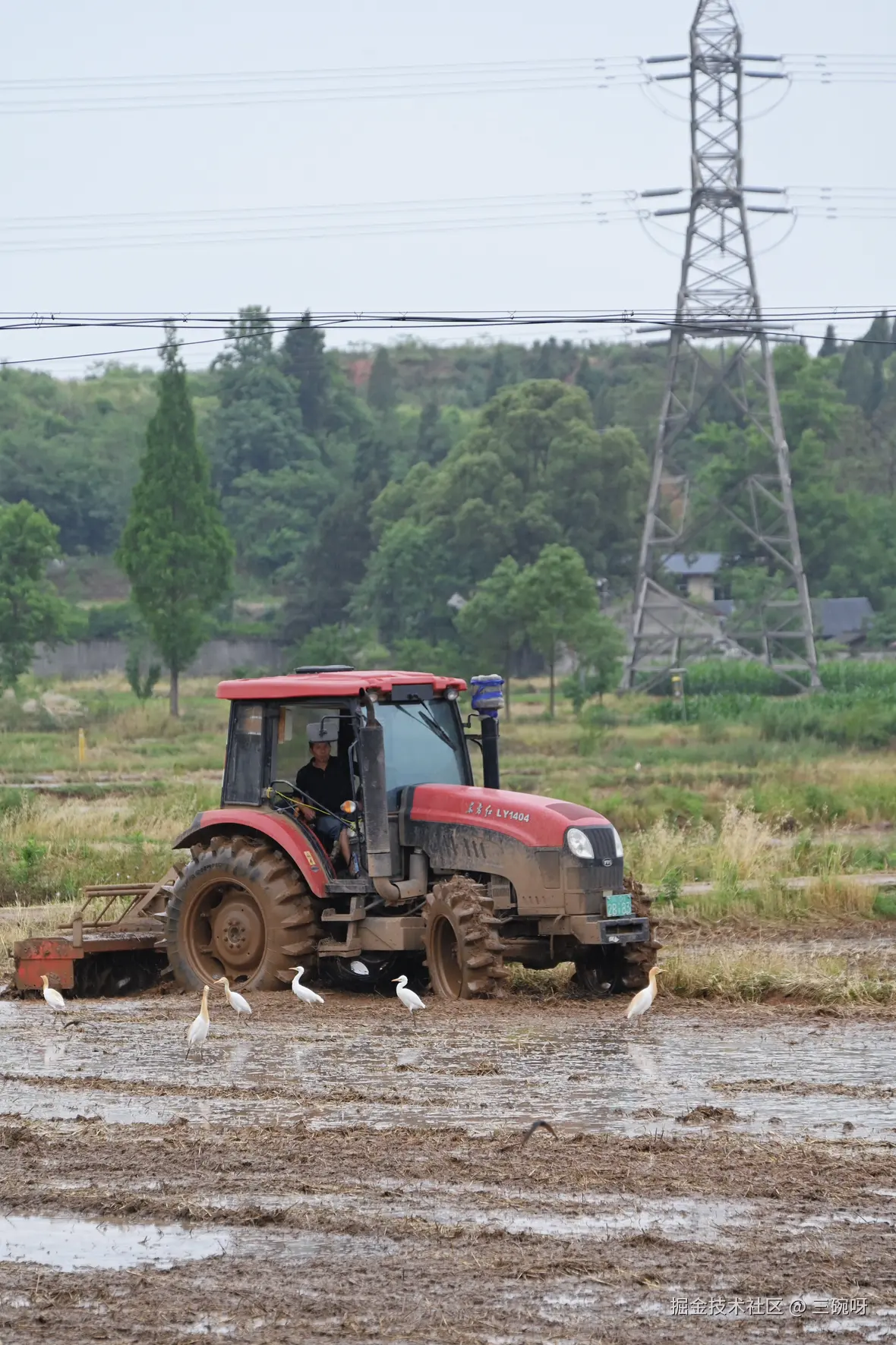 三碗呀于2025-06-03 10:05发布的图片