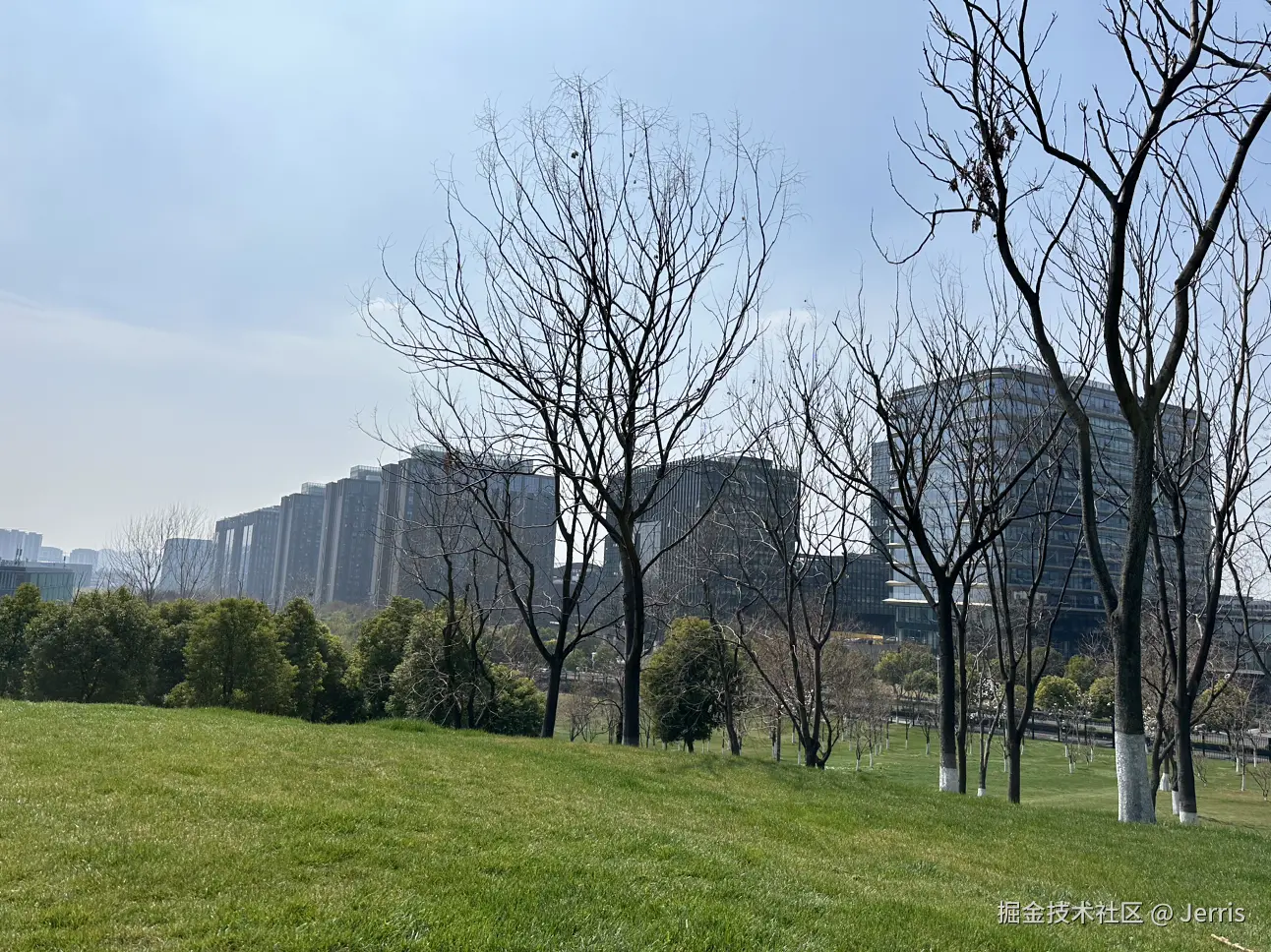Jerris于2025-03-13 05:39发布的图片