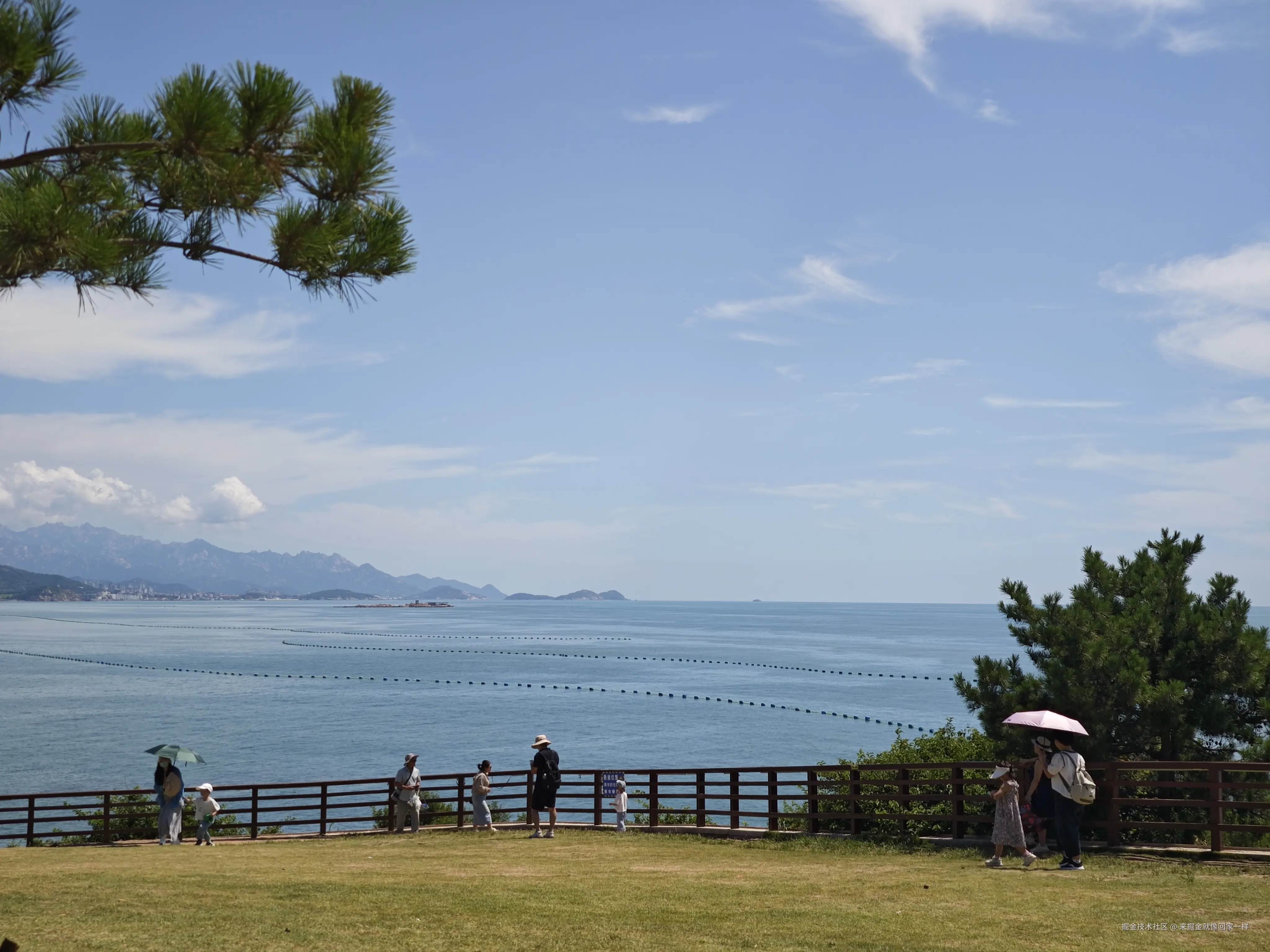 来掘金就像回家一样于2025-08-20 16:01发布的图片