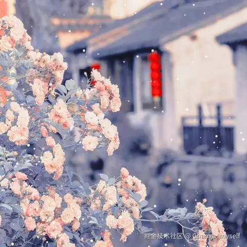 Change_myself于2025-04-27 15:29发布的图片