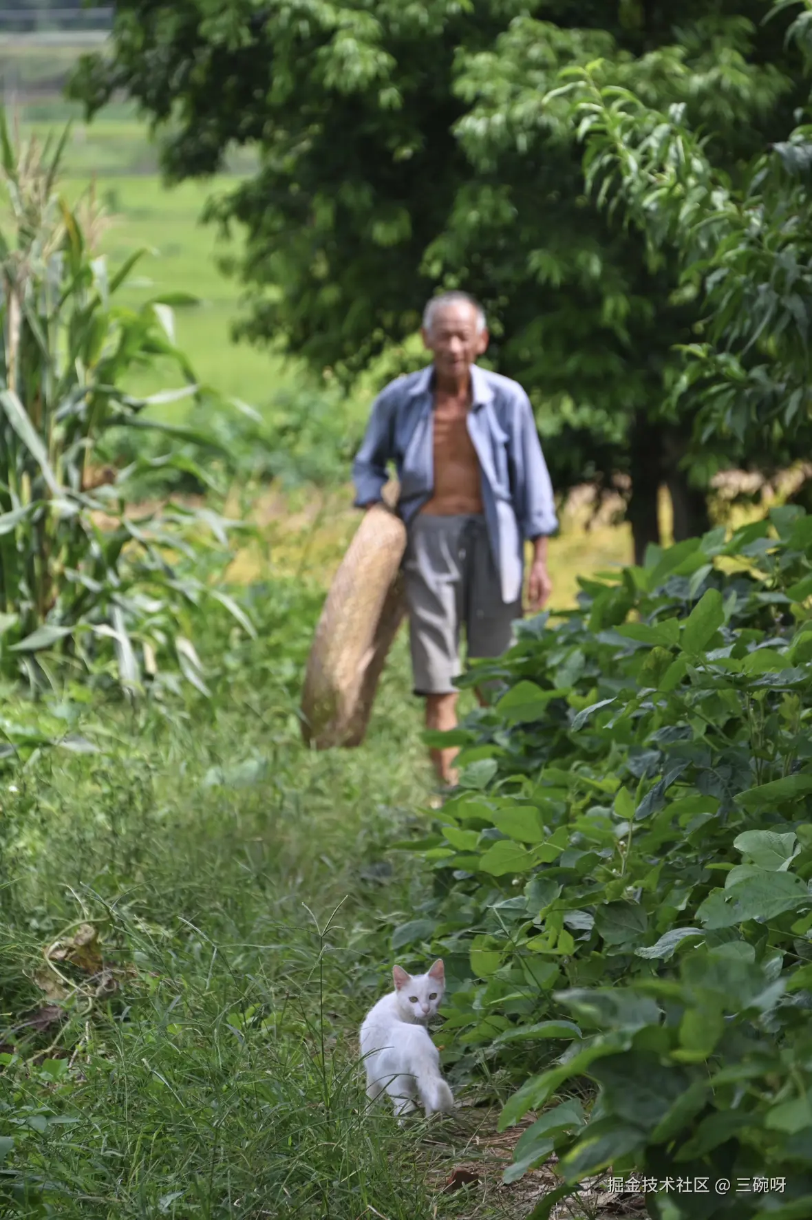 三碗呀于2025-09-10 09:34发布的图片