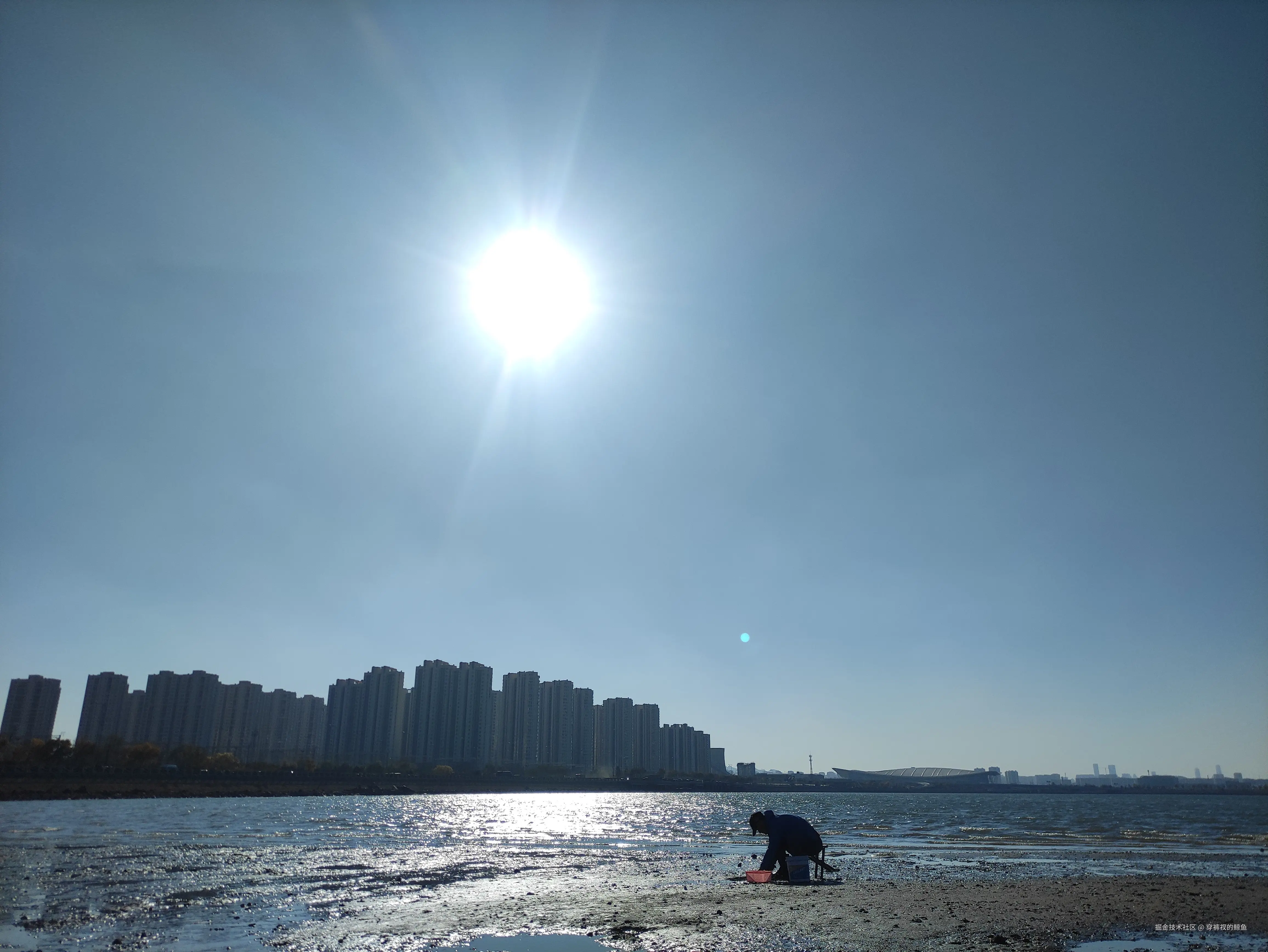 穿裤衩的鲸鱼于2024-11-05 03:28发布的图片
