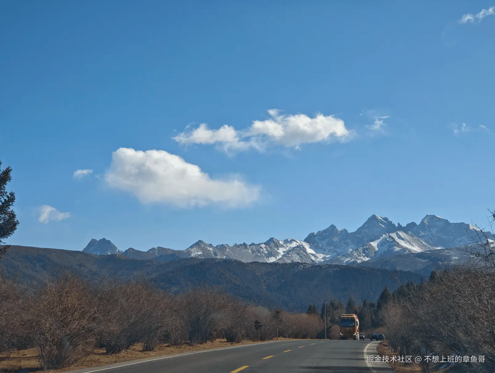不想上班的章鱼哥于2025-12-09 17:55发布的图片