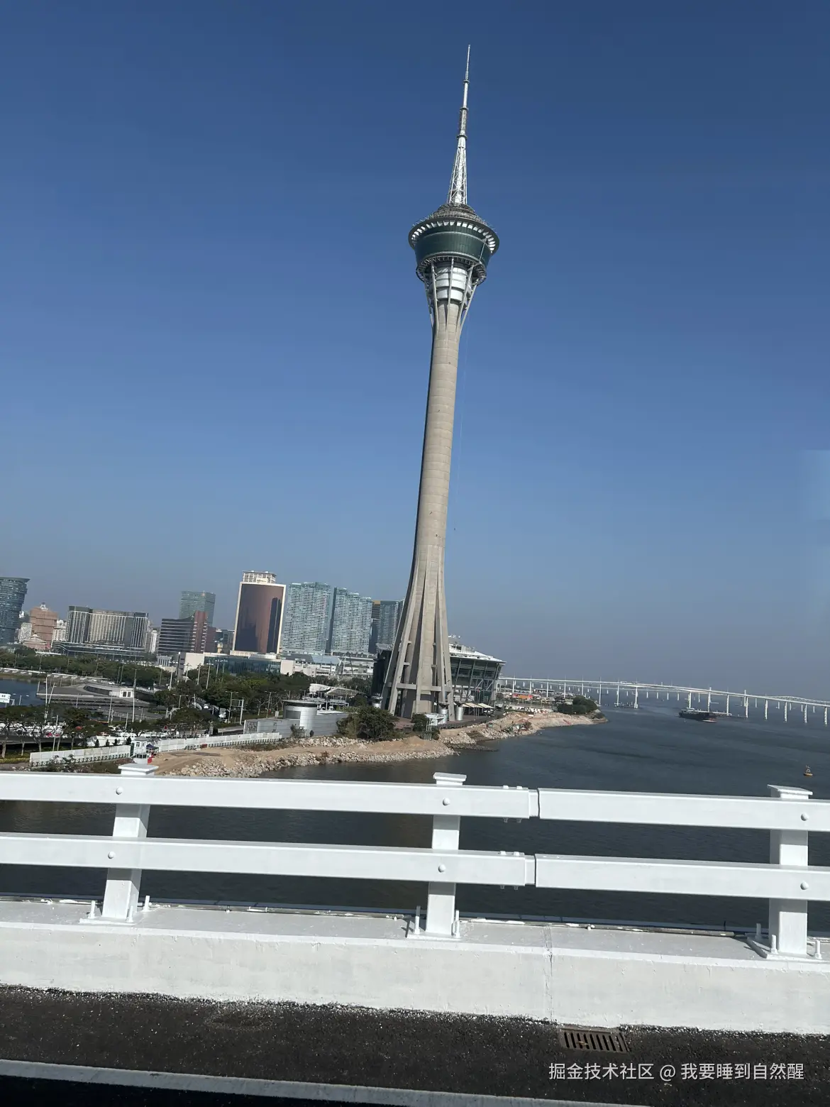 我要睡到自然醒于2024-12-23 10:02发布的图片