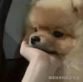 5_5_于2026-04-30 16:59发布的图片