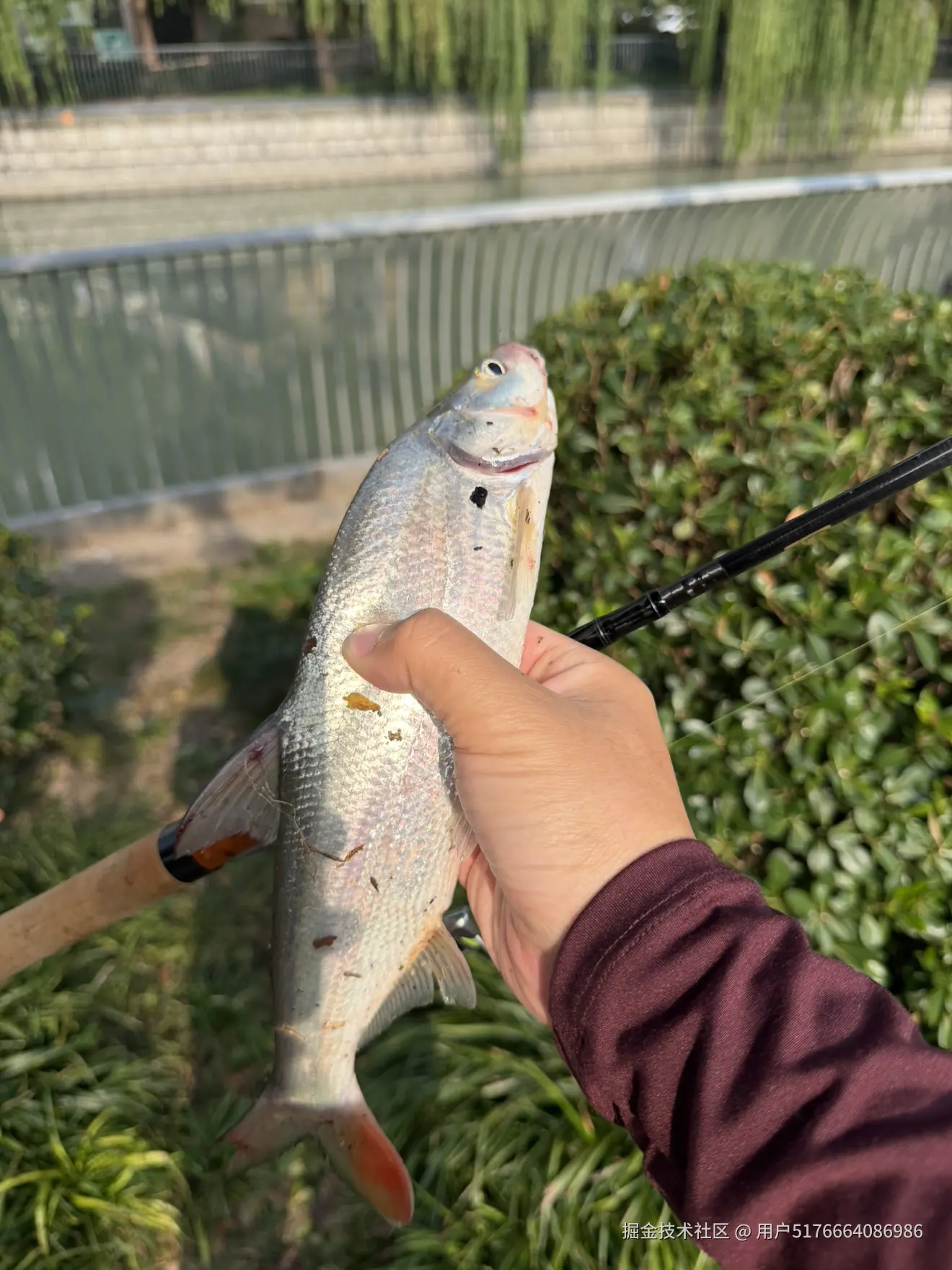 用户5176664086986于2025-11-03 08:52发布的图片