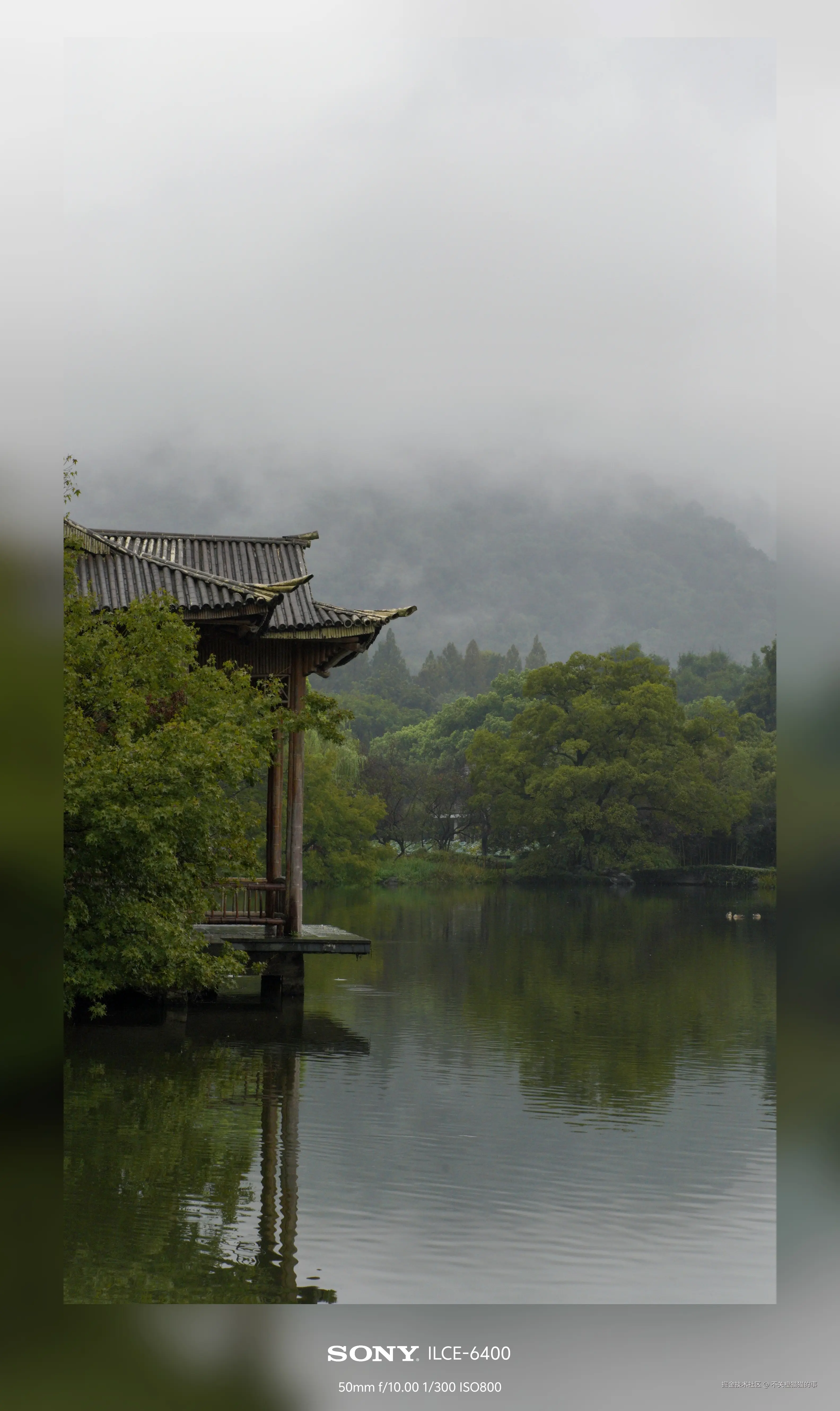 不关橙猫猫的事于2024-10-08 14:03发布的图片