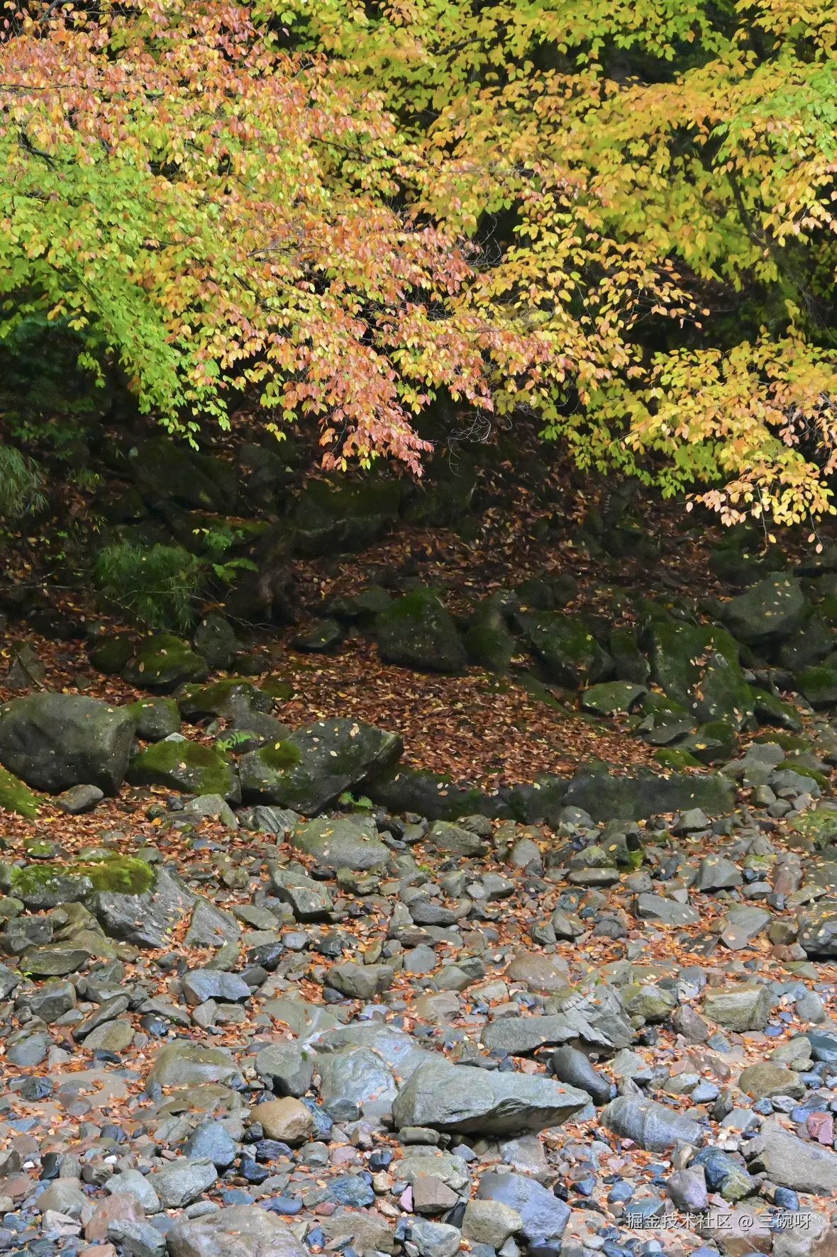 三碗呀于2024-10-28 14:26发布的图片