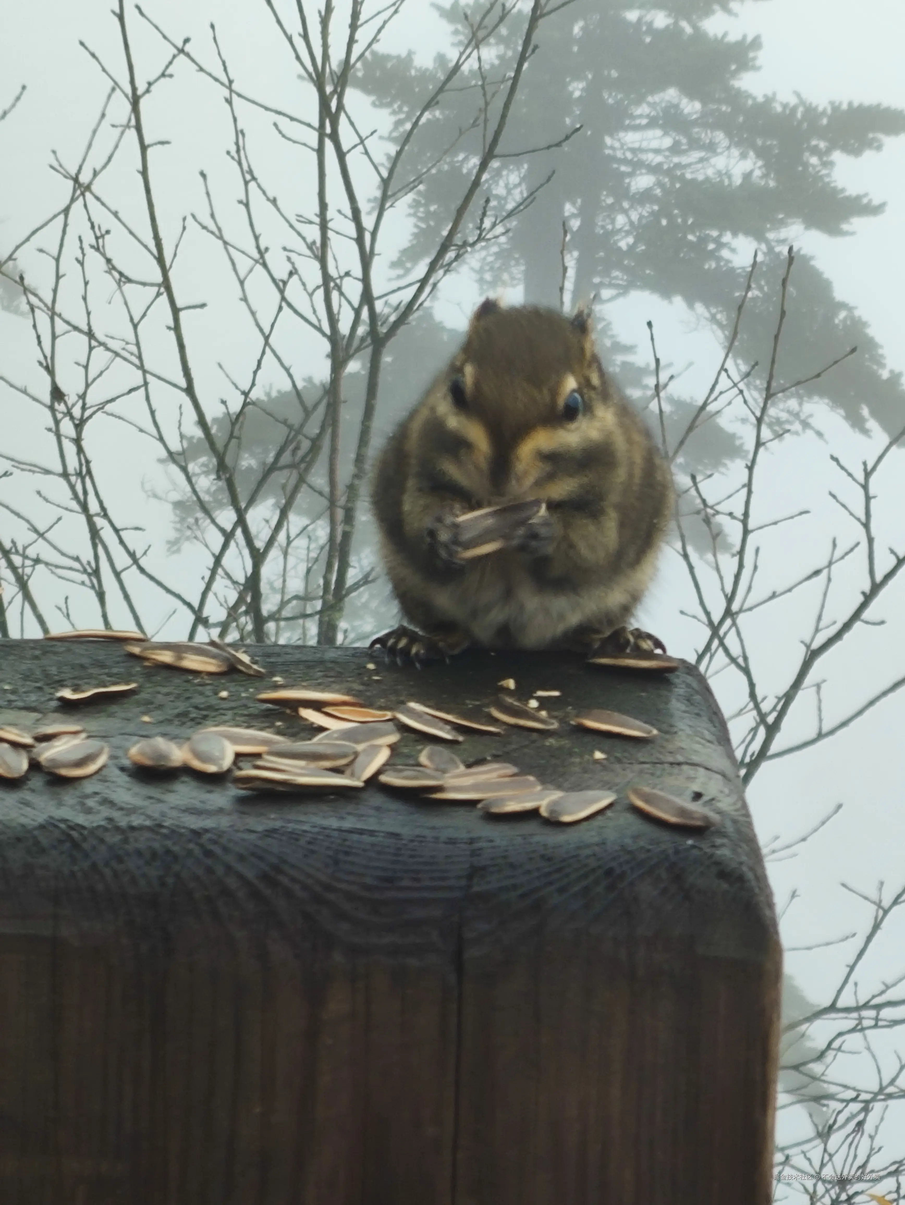 不会送外卖的好外卖于2024-10-26 20:14发布的图片