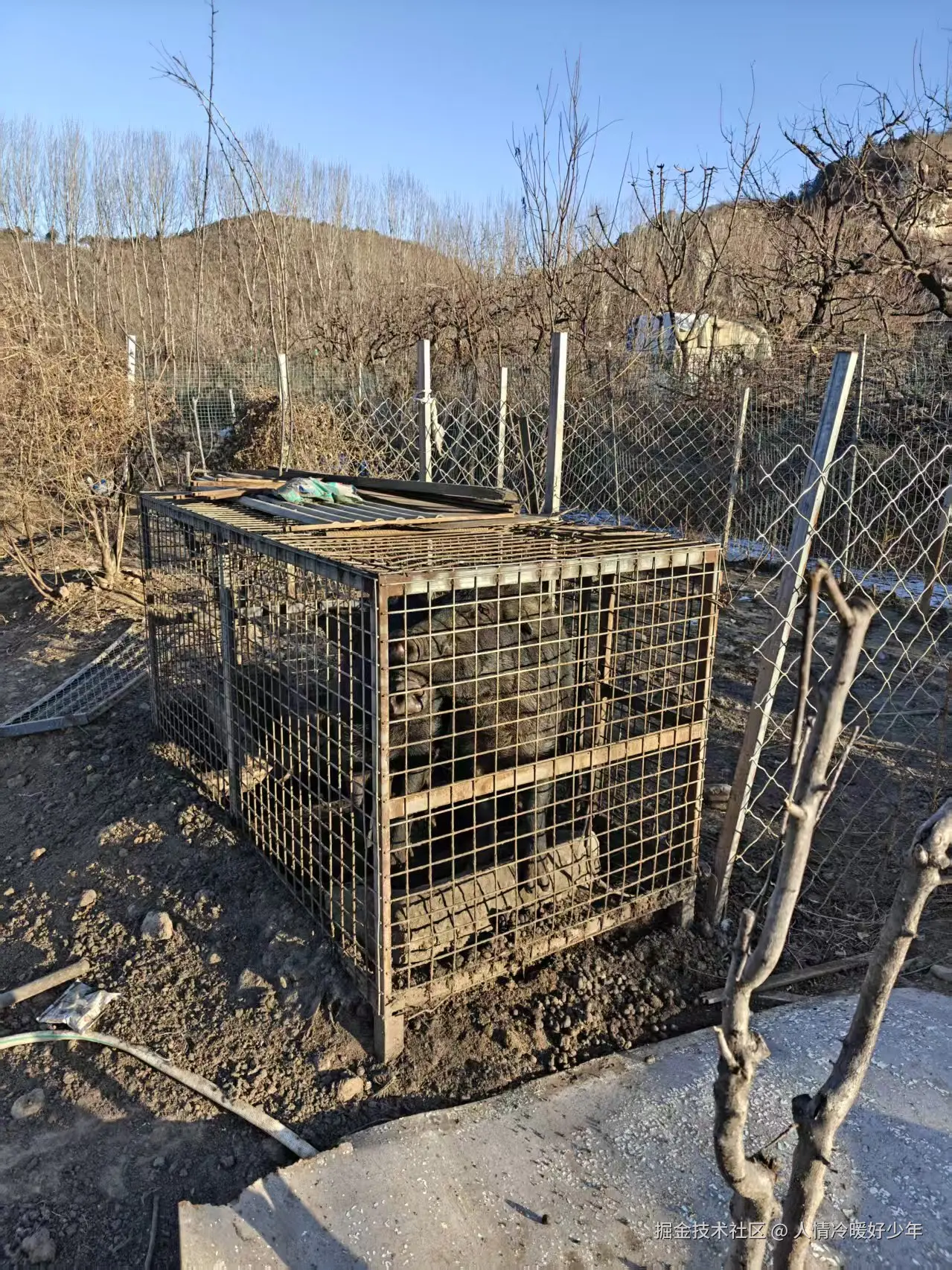 人情冷暖好少年于2025-12-22 06:21发布的图片