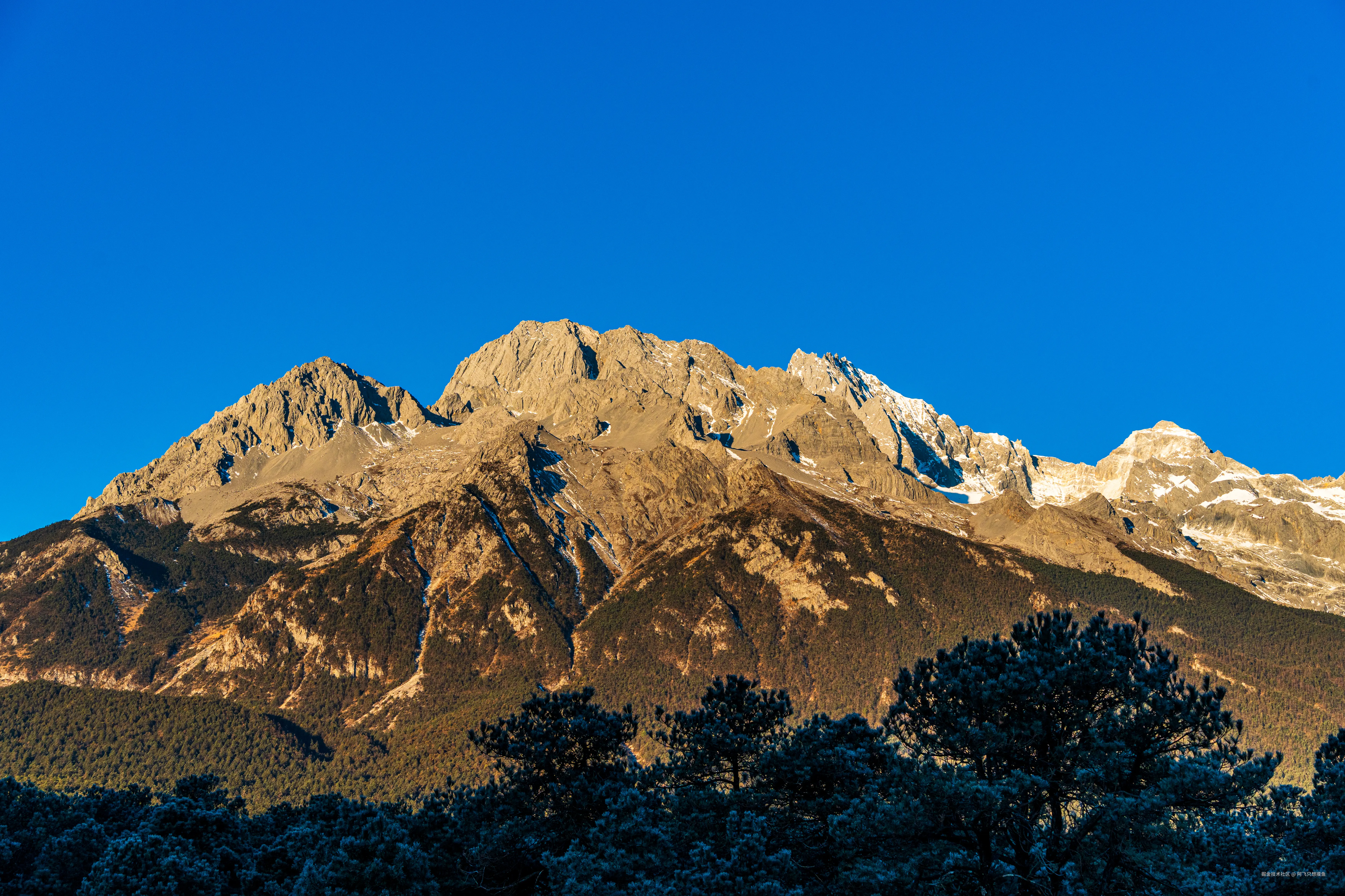 阿飞只想摸鱼于2026-02-11 14:53发布的图片