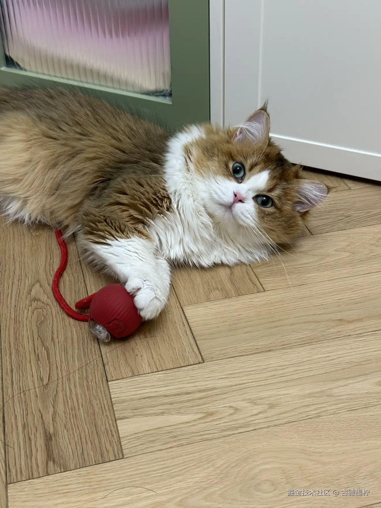 古德墨柠于2025-07-15 08:54发布的图片