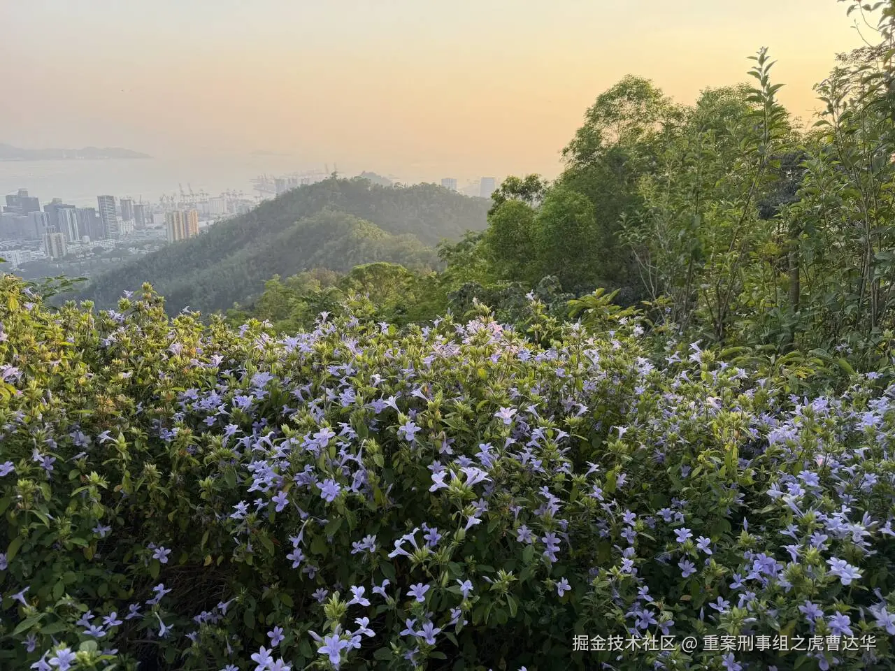重案刑事组之虎曹达华于2025-12-09 02:01发布的图片