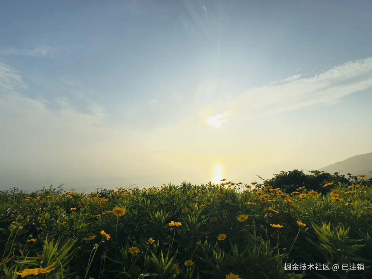 已注销于2025-05-19 10:38发布的图片