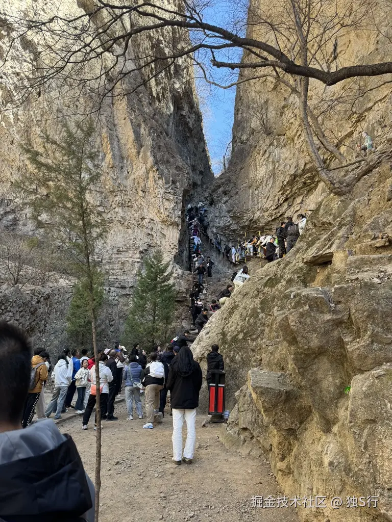 独S行于2025-04-08 09:42发布的图片