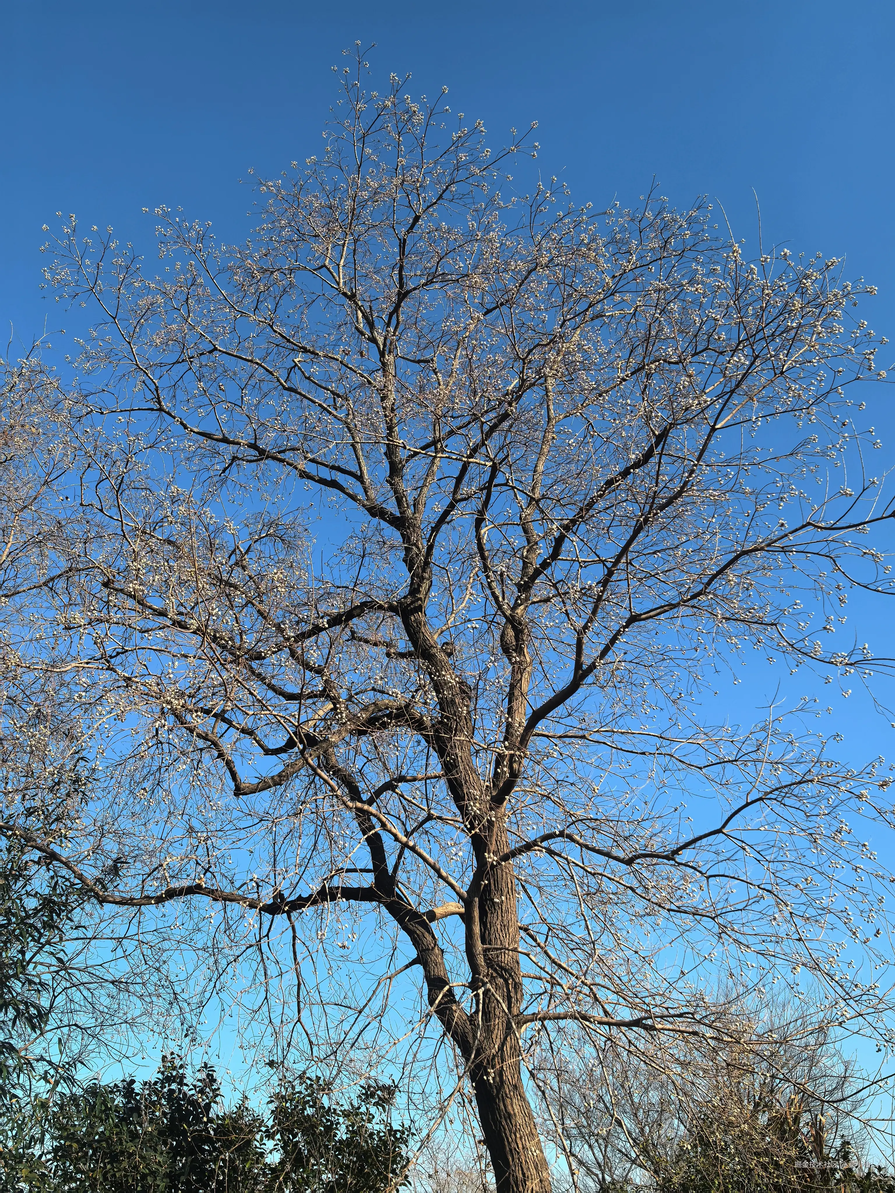 莫小仙于2026-02-05 16:42发布的图片