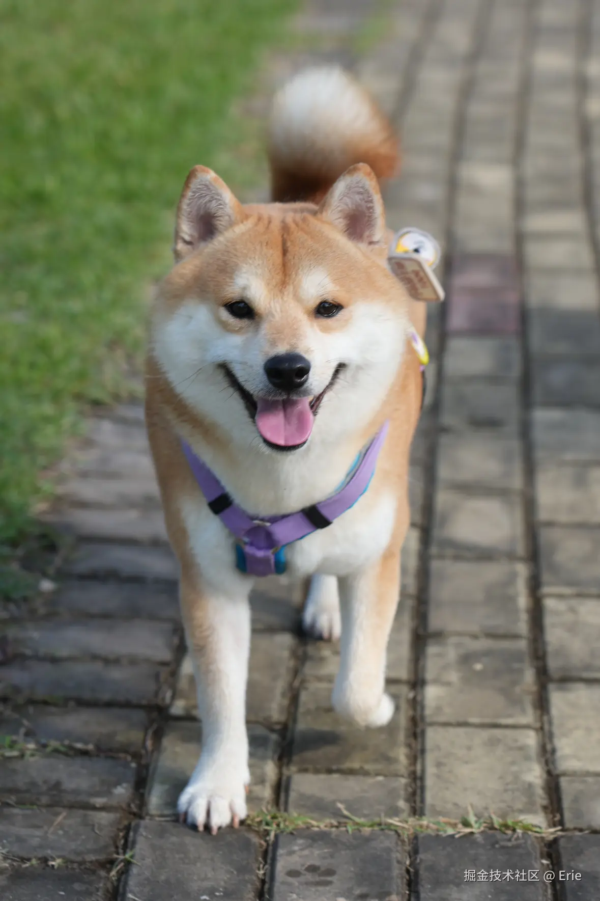 Erie于2025-11-18 08:30发布的图片