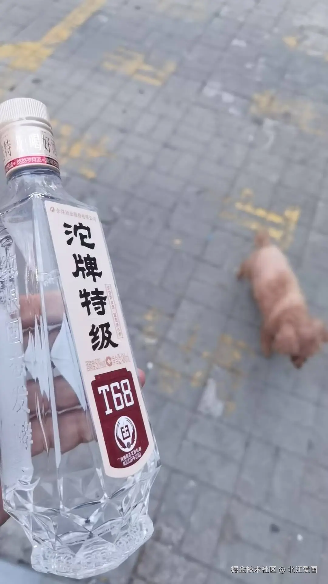 北江爱国于2026-09-10 01:23发布的图片