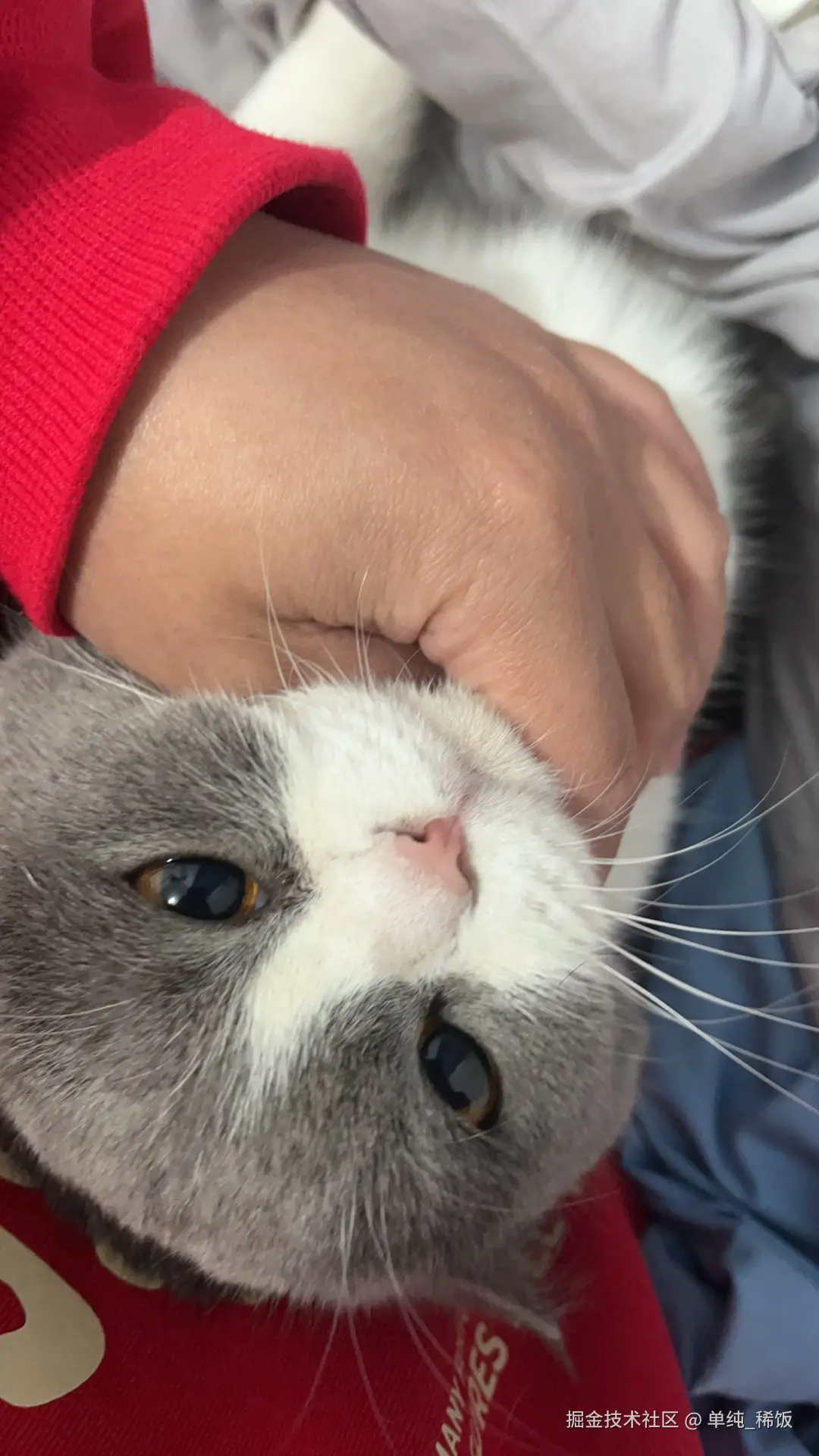 单纯_稀饭于2025-02-07 08:15发布的图片